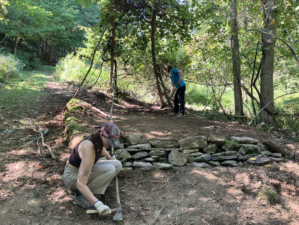 Screen Shot 2025-02-20 at 11.24.04 AM.png