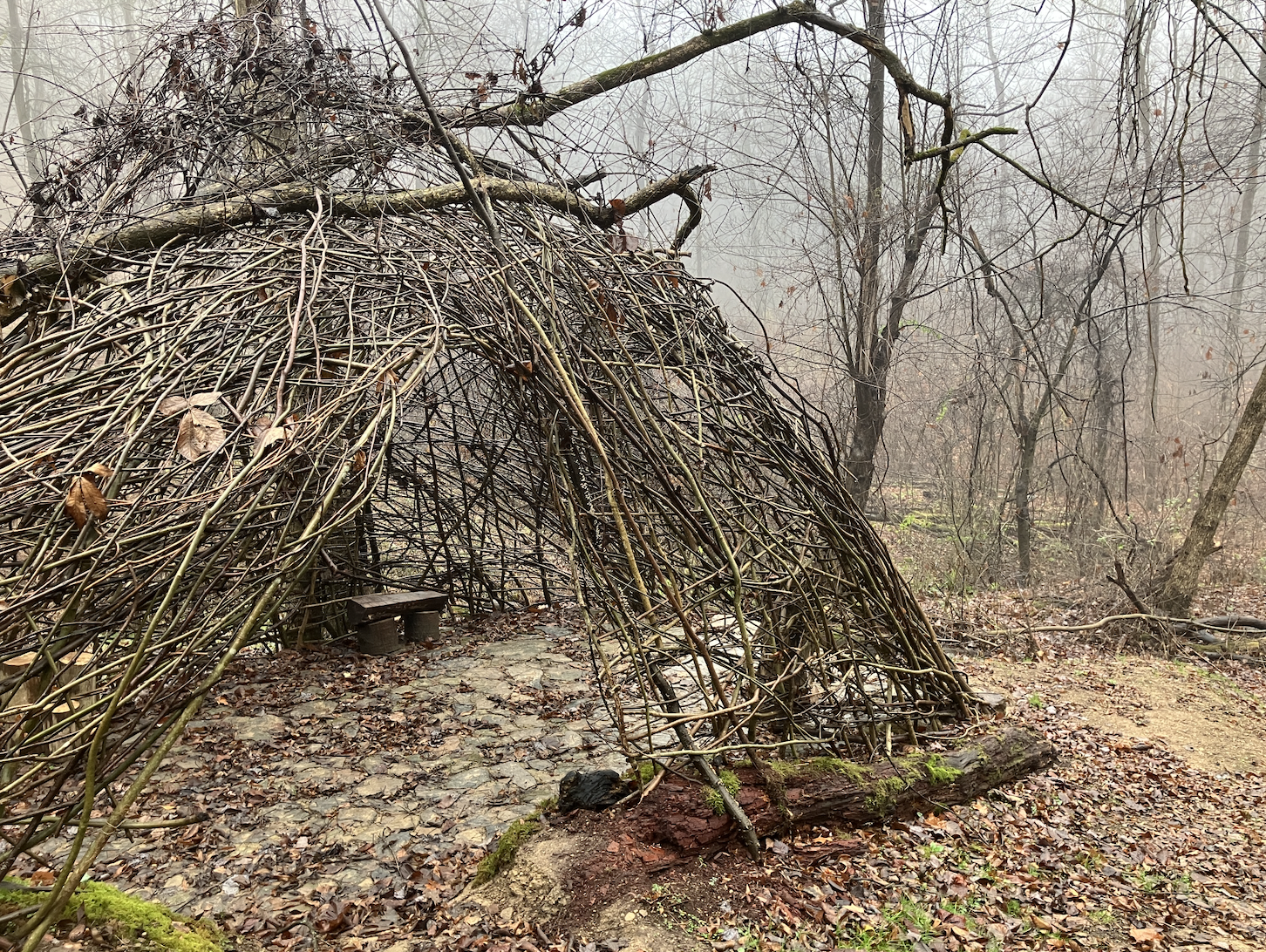 Screen Shot 2025-08-15 at 4.30.15 PM.png