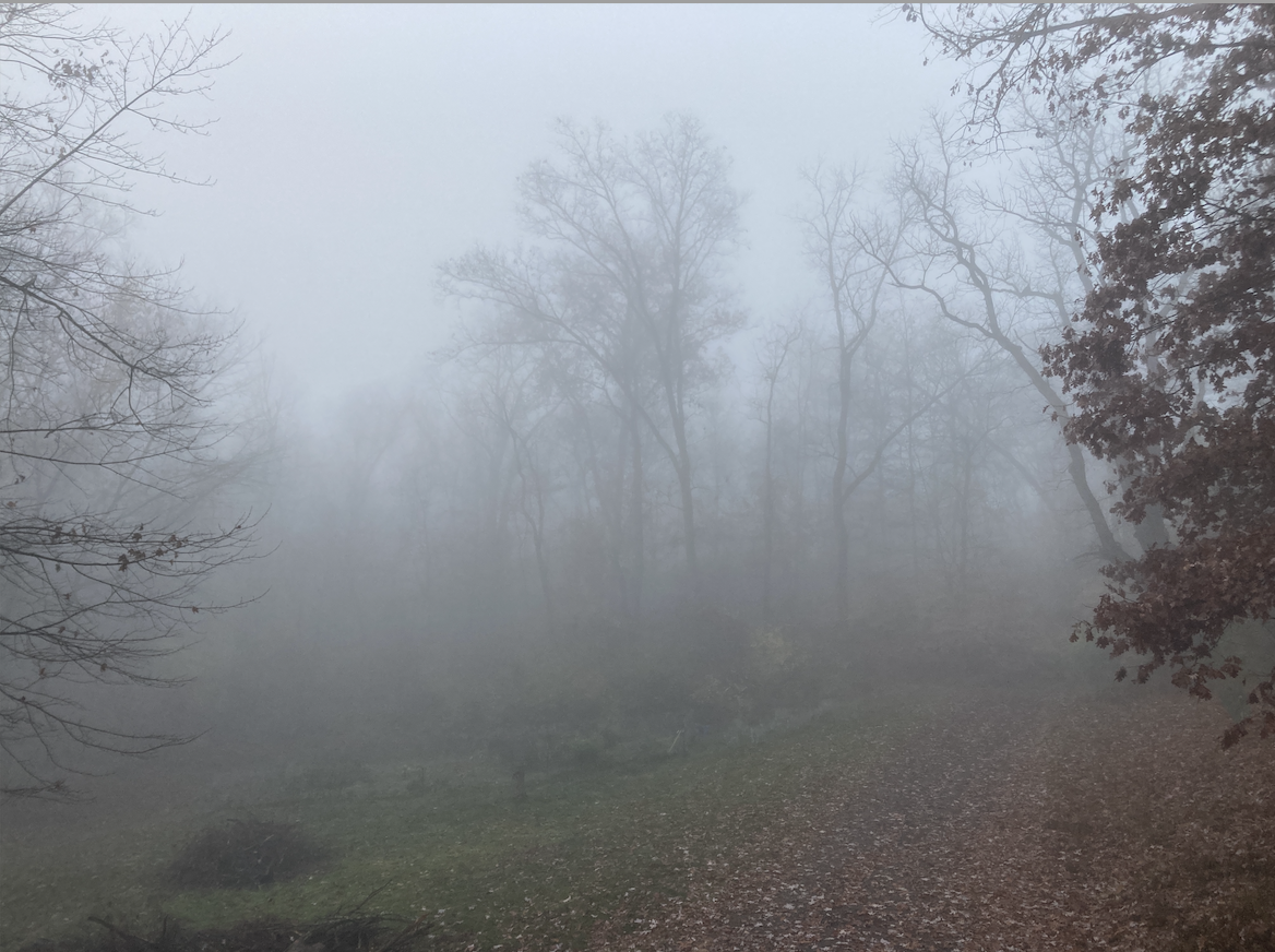 Screen Shot 2025-02-20 at 11.25.04 AM.png