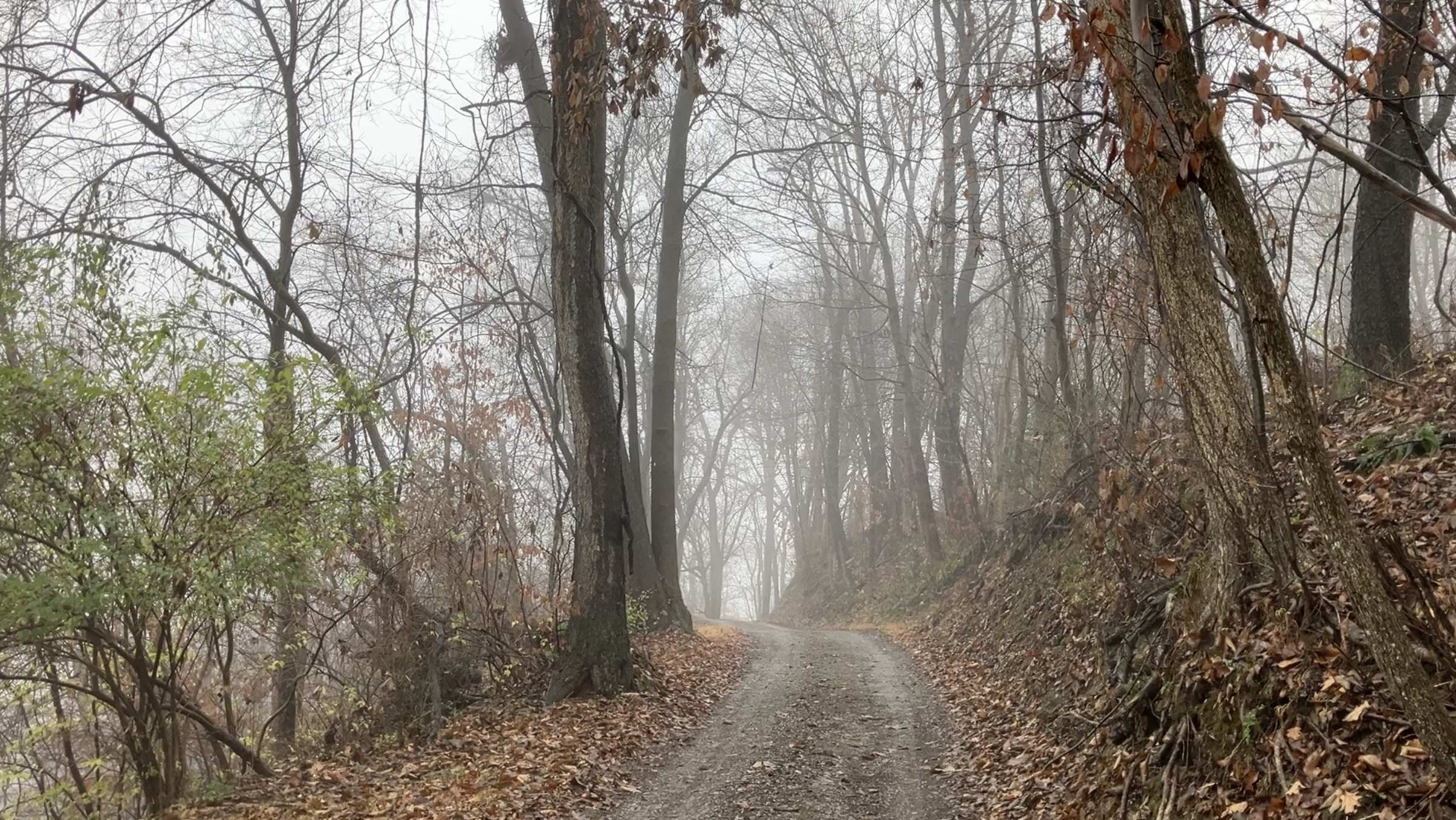 Screen Shot 2025-08-13 at 3.12.26 PM.png