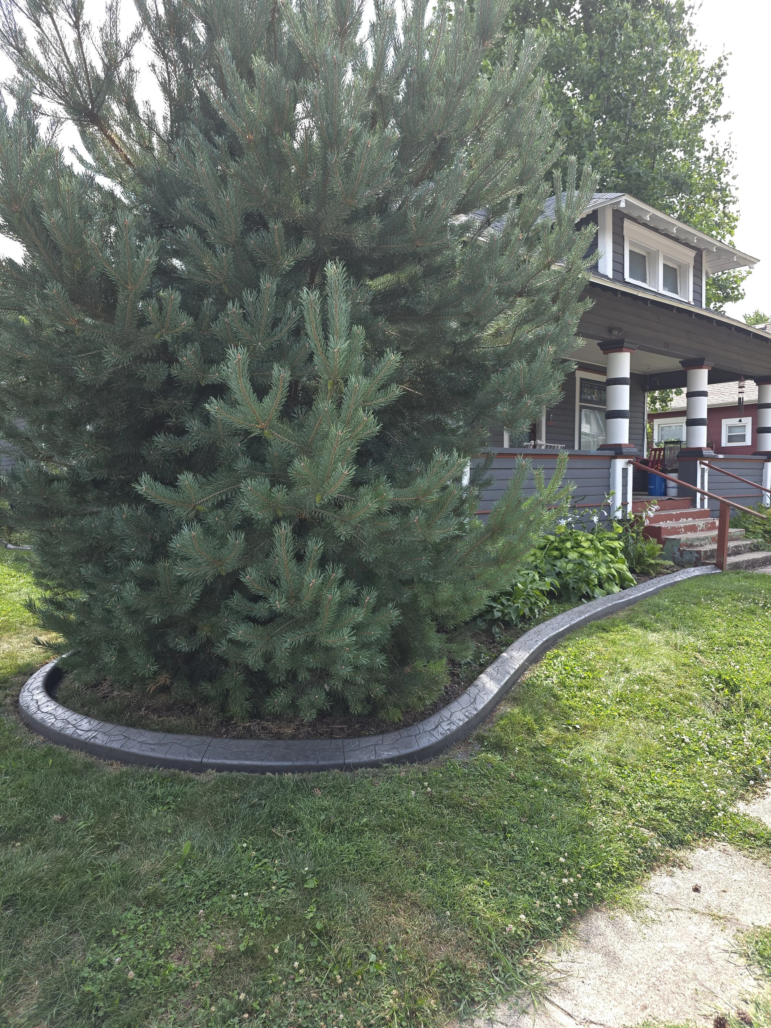 20260722_153502.jpg