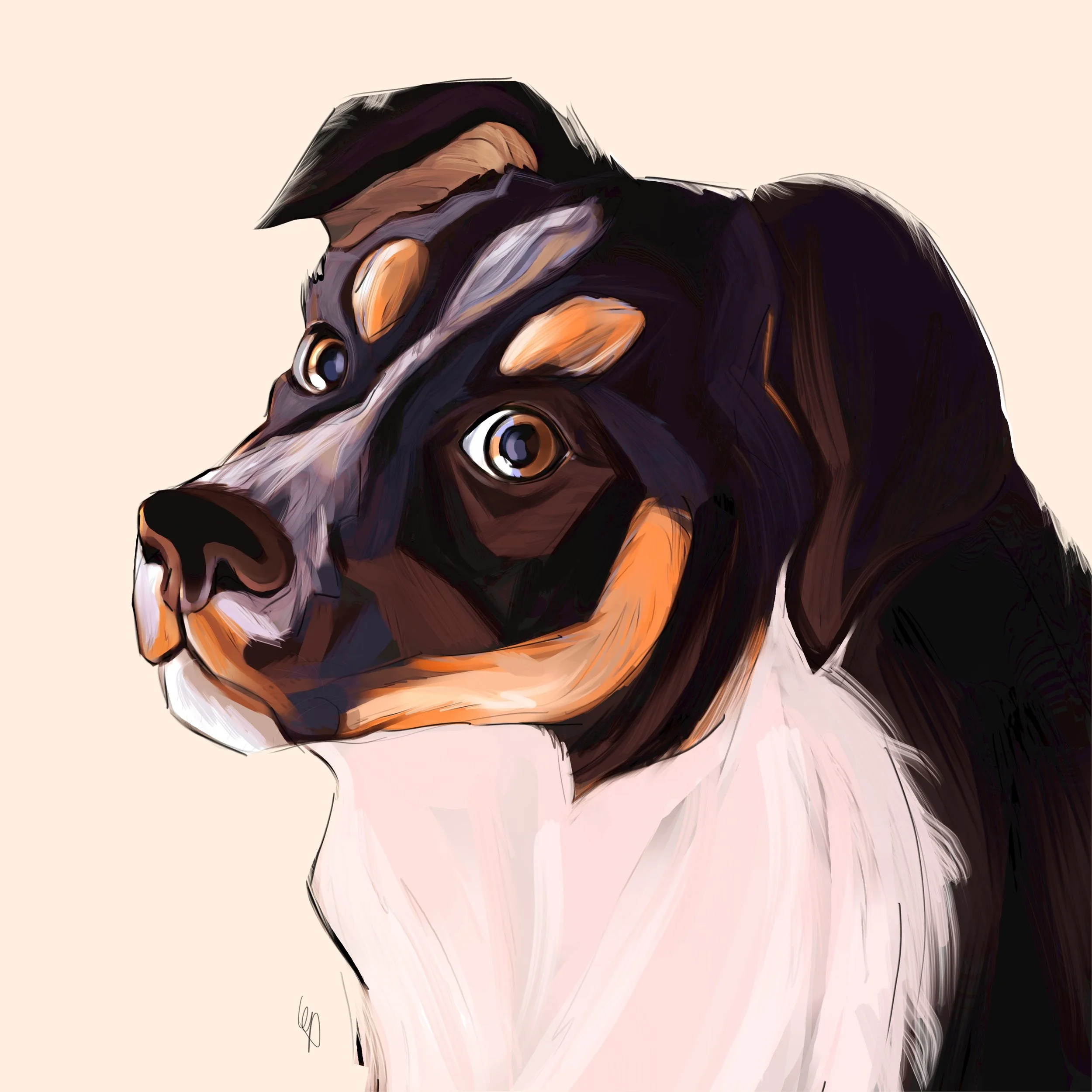 Untitled Artwork 2.jpeg