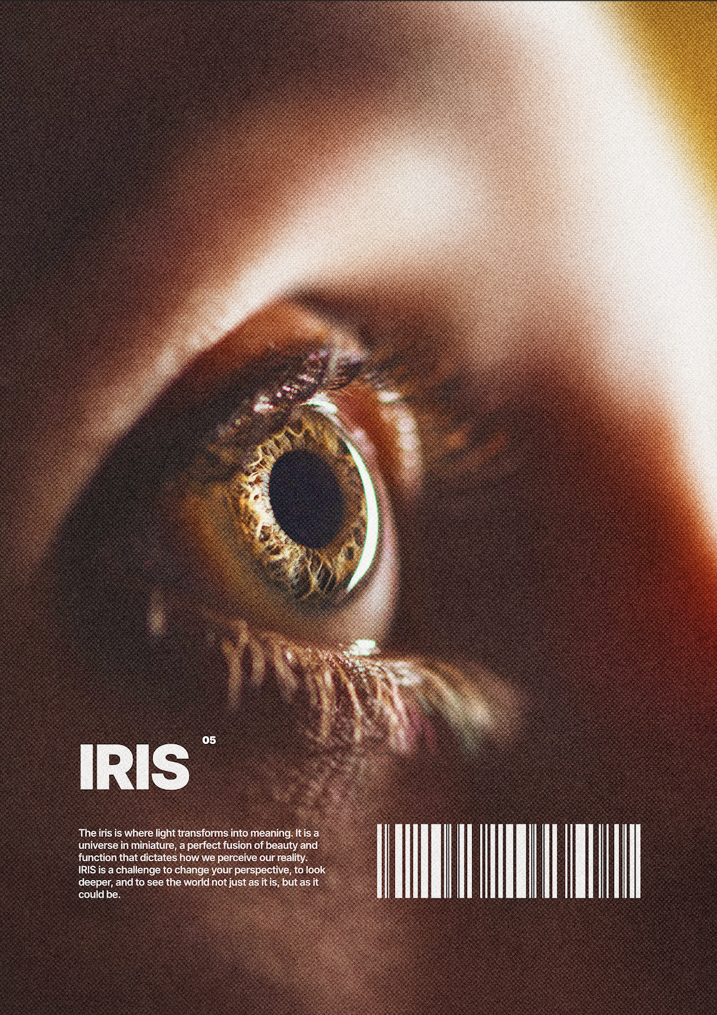 Screenshot 2026-01-05 at 20.42.01.png