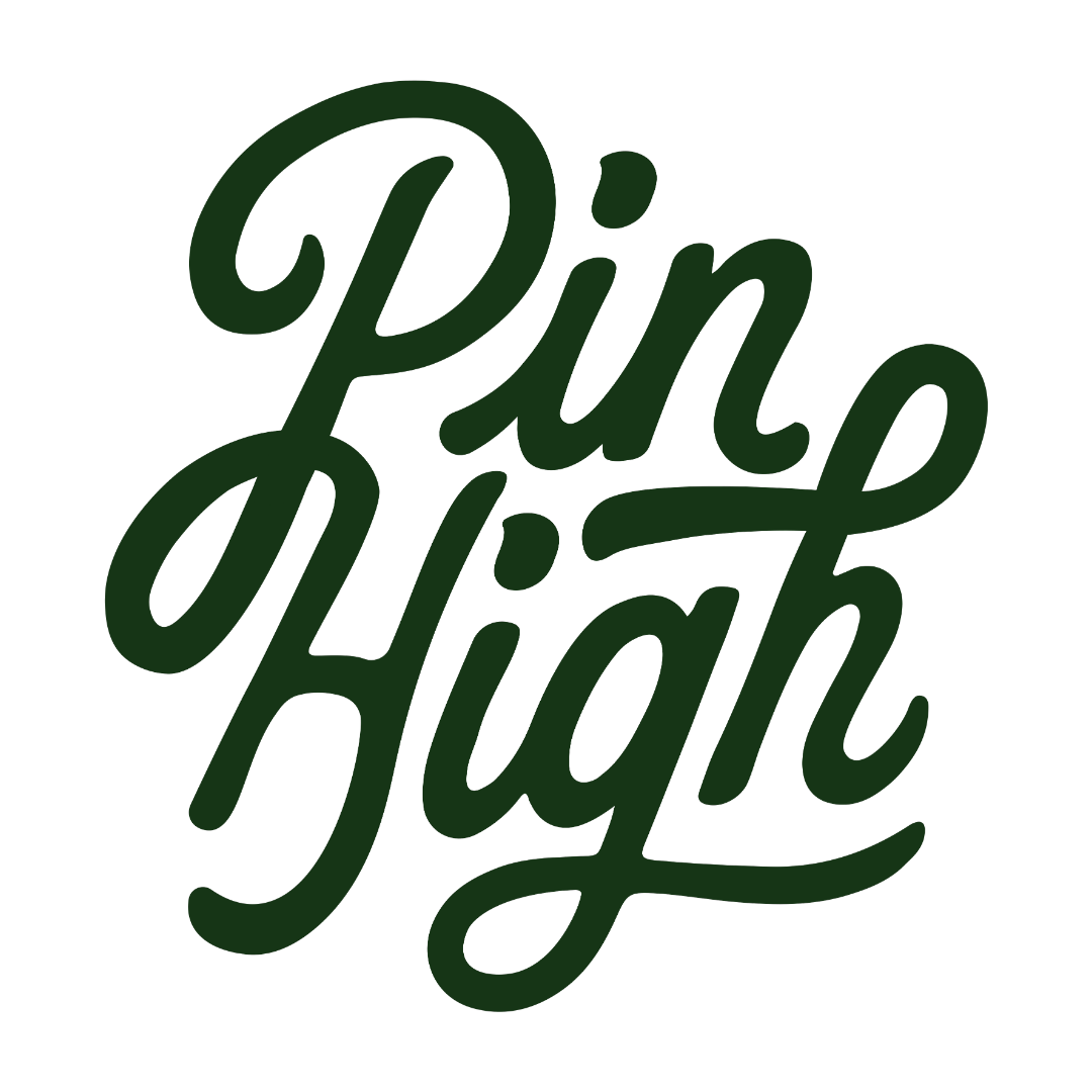 Pin High Indoor Golf Club