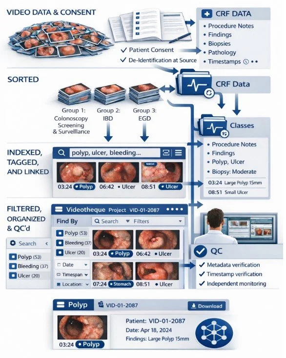 Diagram illustrating medical data management process for endoscopy procedures. It includes video data and consent, patient consent, de-identification, and creation of CRF data with notes, findings, biopsies, pathology, and timestamps. Sorted into different groups: colonoscopy screening, IBD, EGD. Data is indexed, tagged, linked, filtered, and organized with search and filters for polyps, ulcers, bleeding, and stomach. Includes viewing, quality control, metadata, timestamp, and independent monitoring. Displays detailed reports of polyps, ulcers, and findings with timestamps and download options.