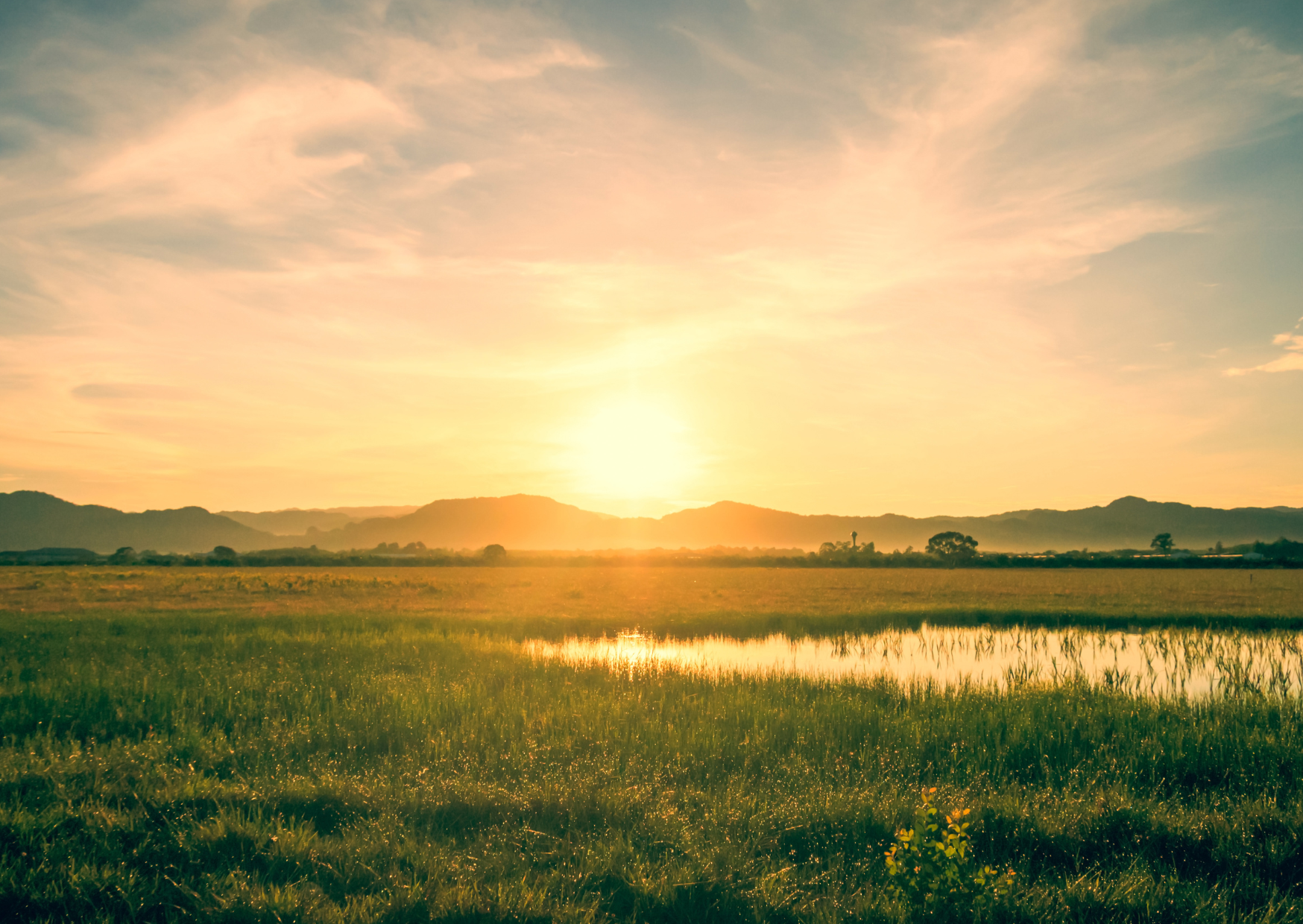 The Morning Routine That Actually Works in Hospitality