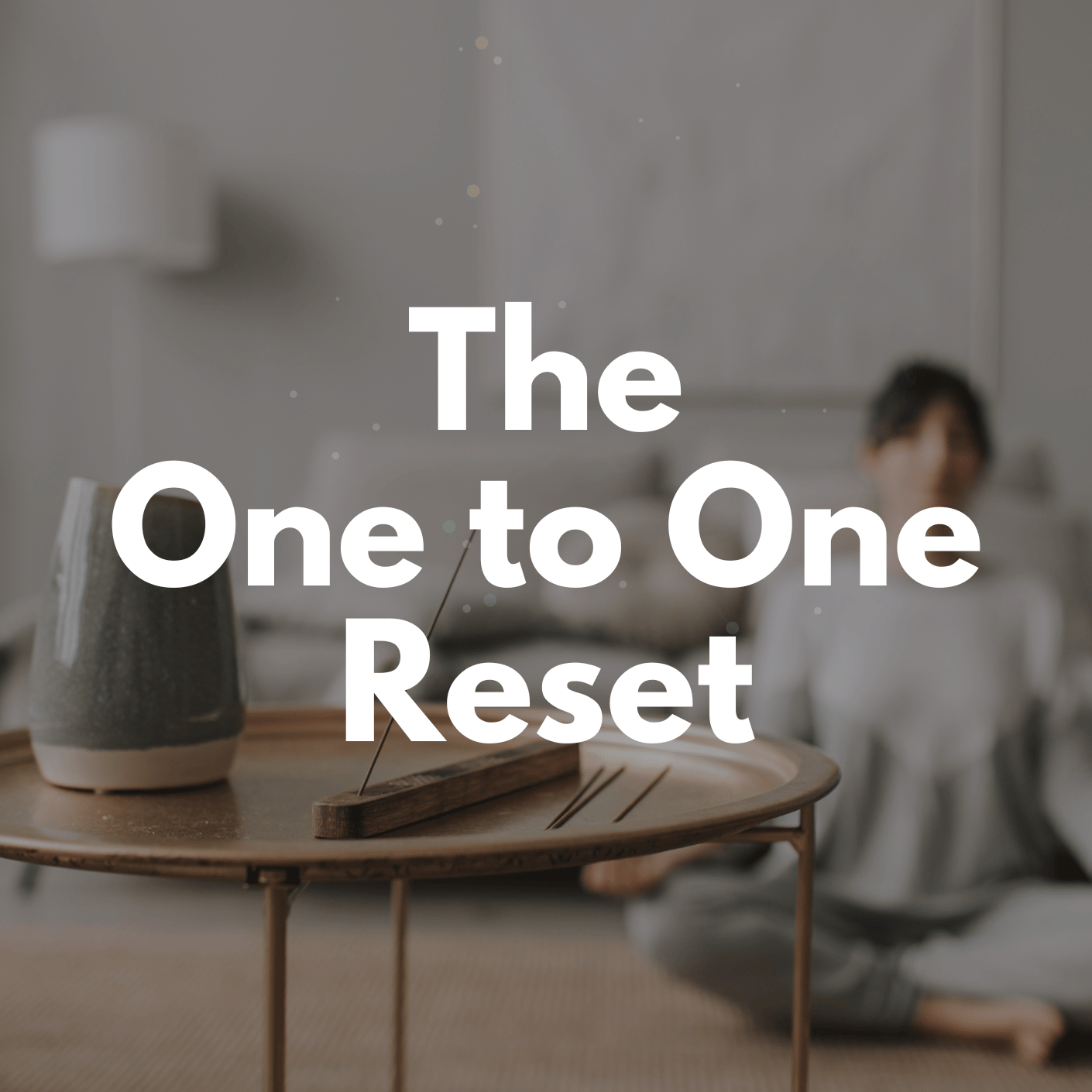 The Basic Owner Reset (3).png