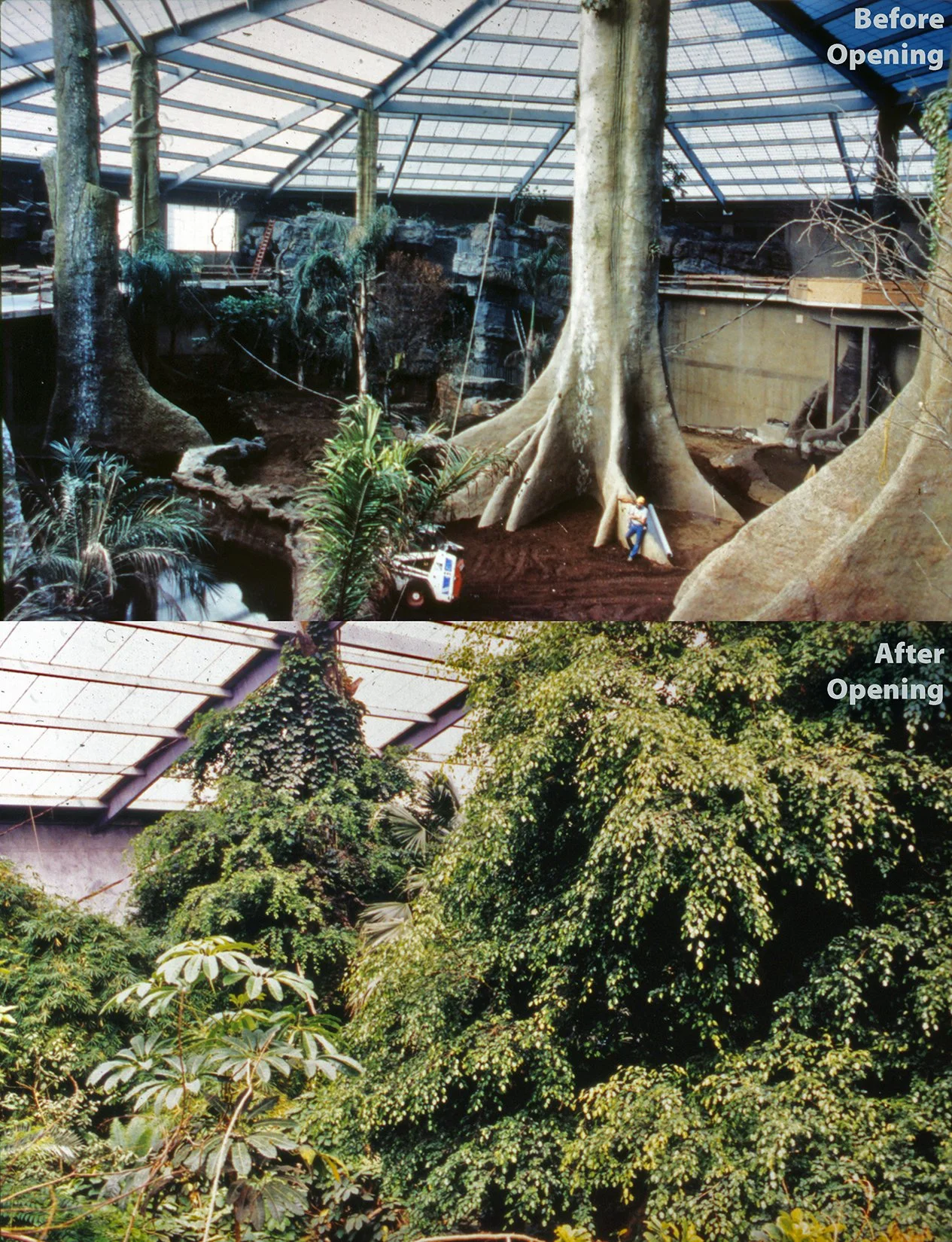 liedzoo1and2sm.jpg