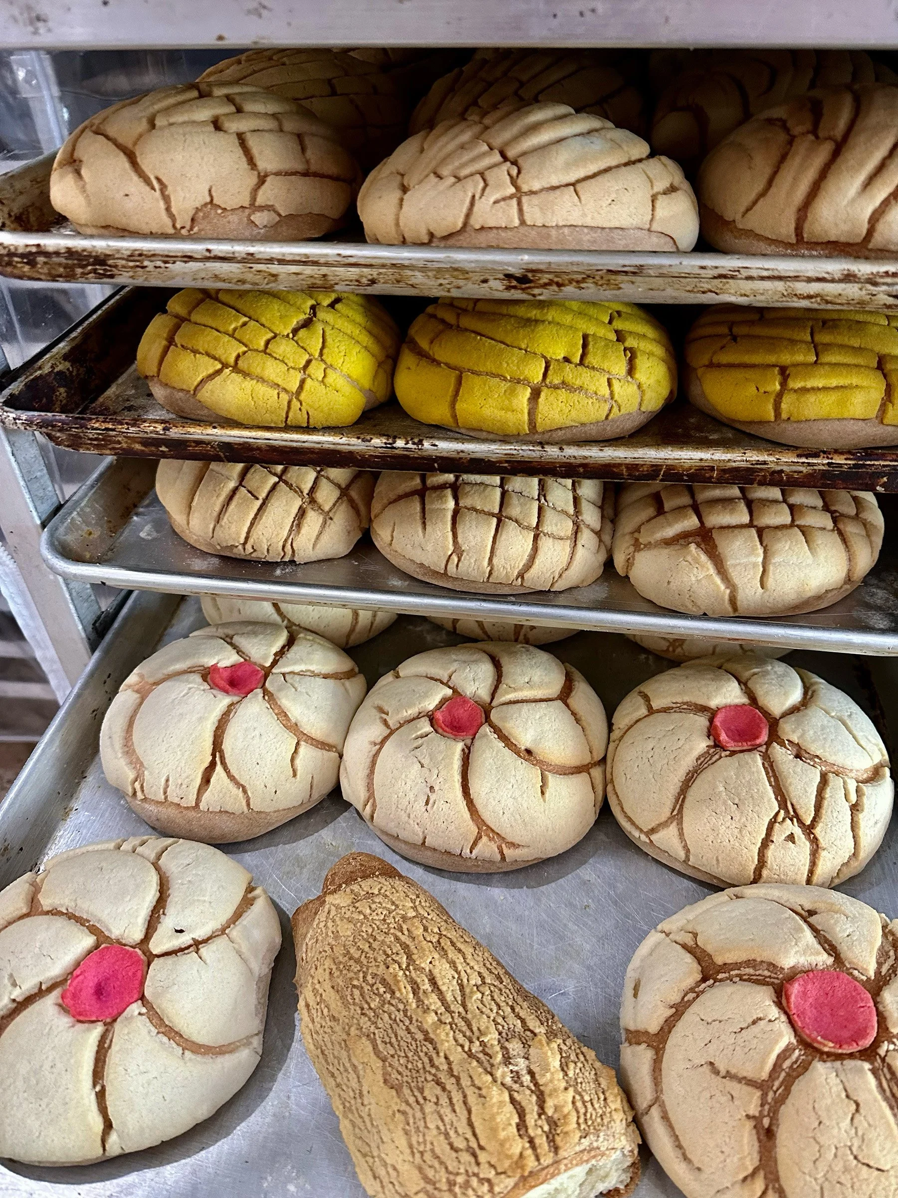 fresh baked conchas at san jeronimo restaurant and bakery