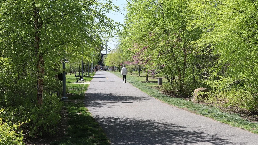 SRTE_path+and+trees_GR.jpg