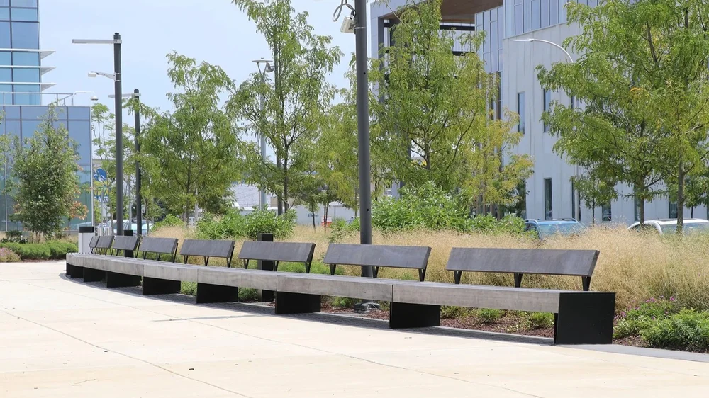 GR_BPI_arcing+bench.jpg