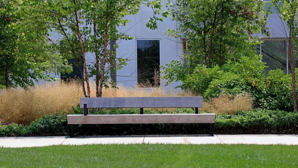 GR_BPI_planting+w+bench.jpg