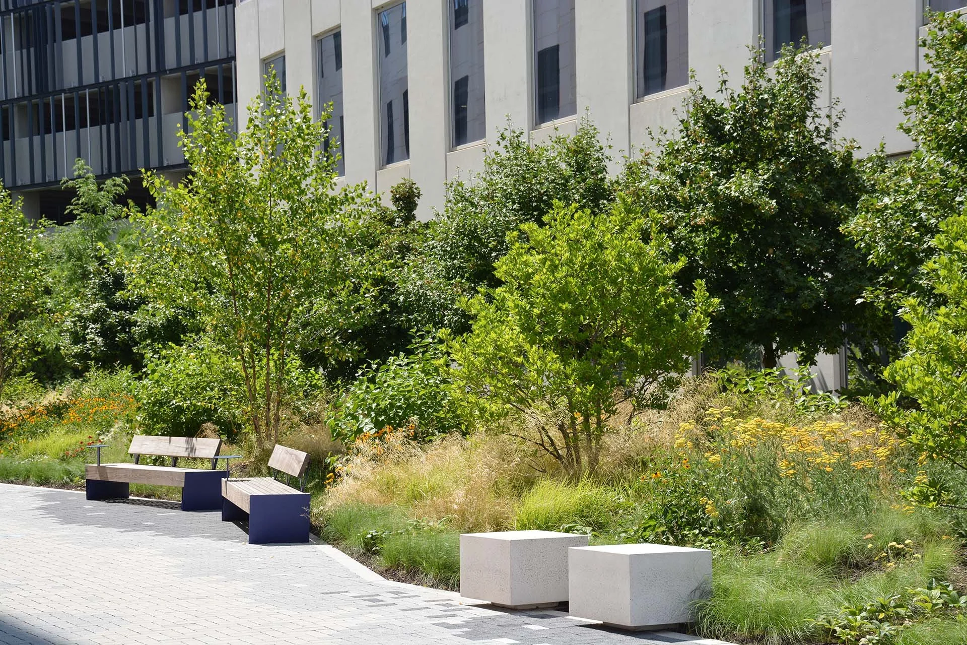 Navy Yard Pedestrian Connector