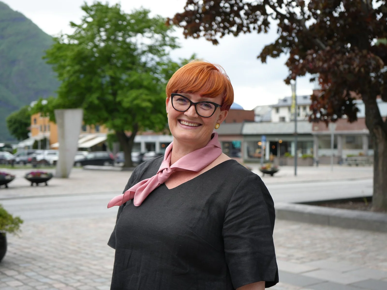 Kor mykje besøk toler ein region?