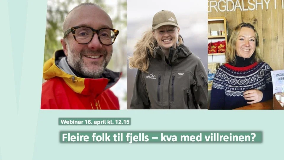 Webinar 16. april: Fleire folk til fjells – kva med villreinen?