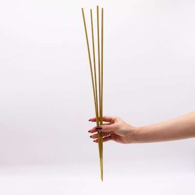 Bio fresh Incense Garden Sticks being held Citronella.jpeg
