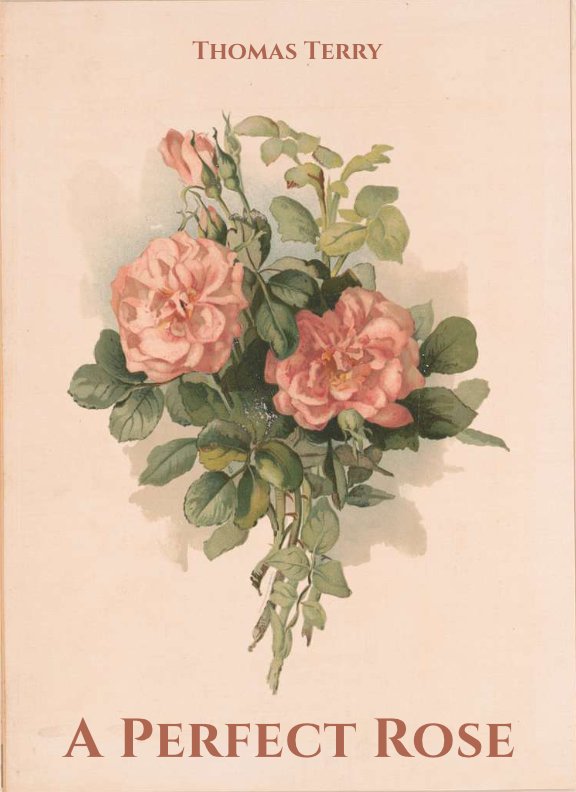 662b076a006c70f9bf8e3ede_A Perfect Rose Cover.jpg