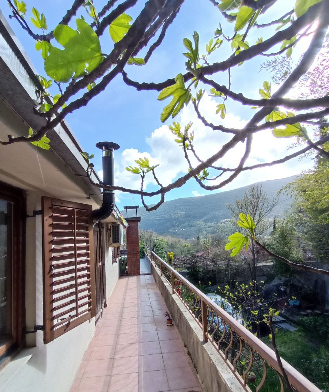 WhatsApp Image 2025-03-21 at 13.01.17 (1).jpeg