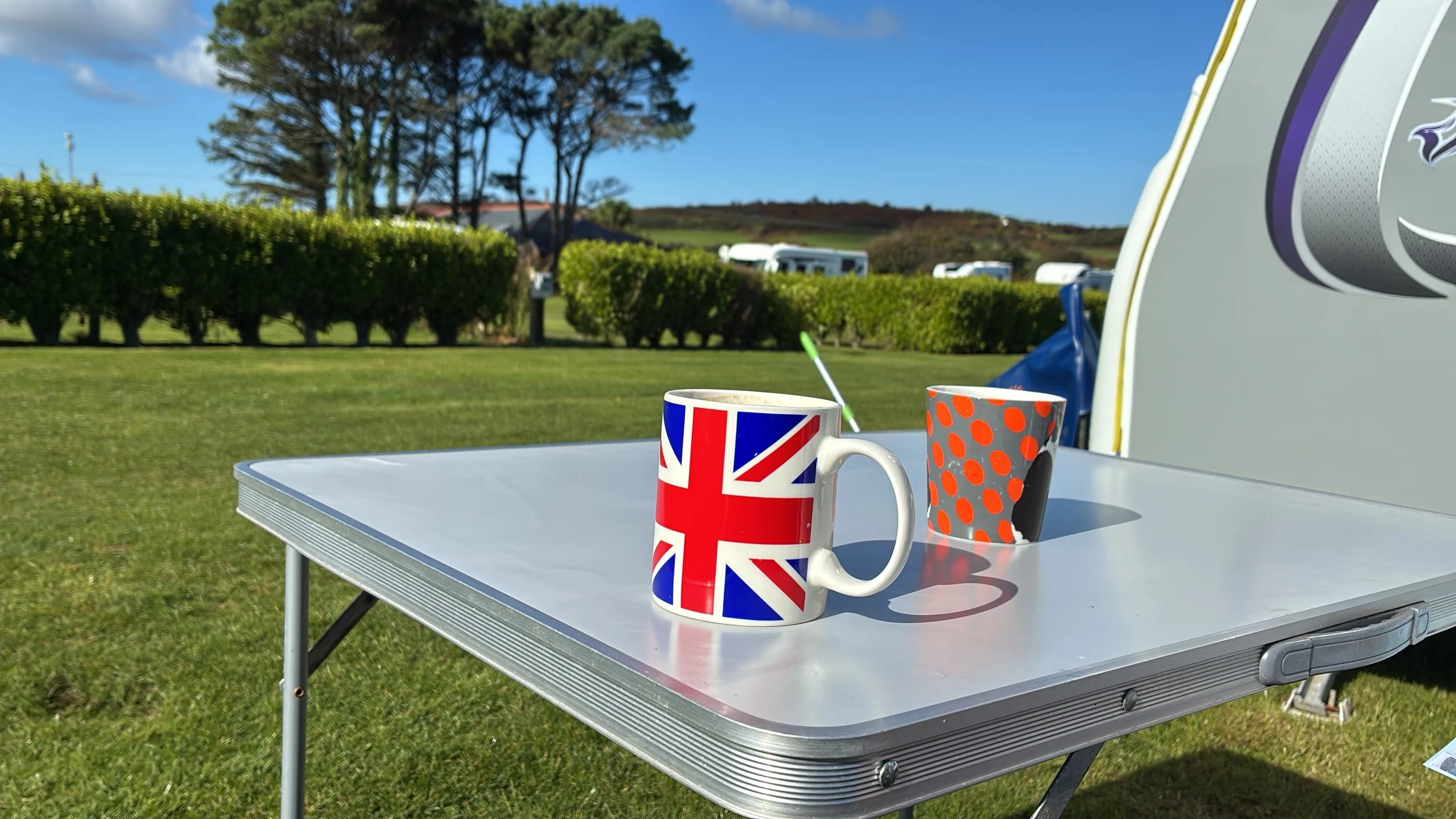 THS information for 2026