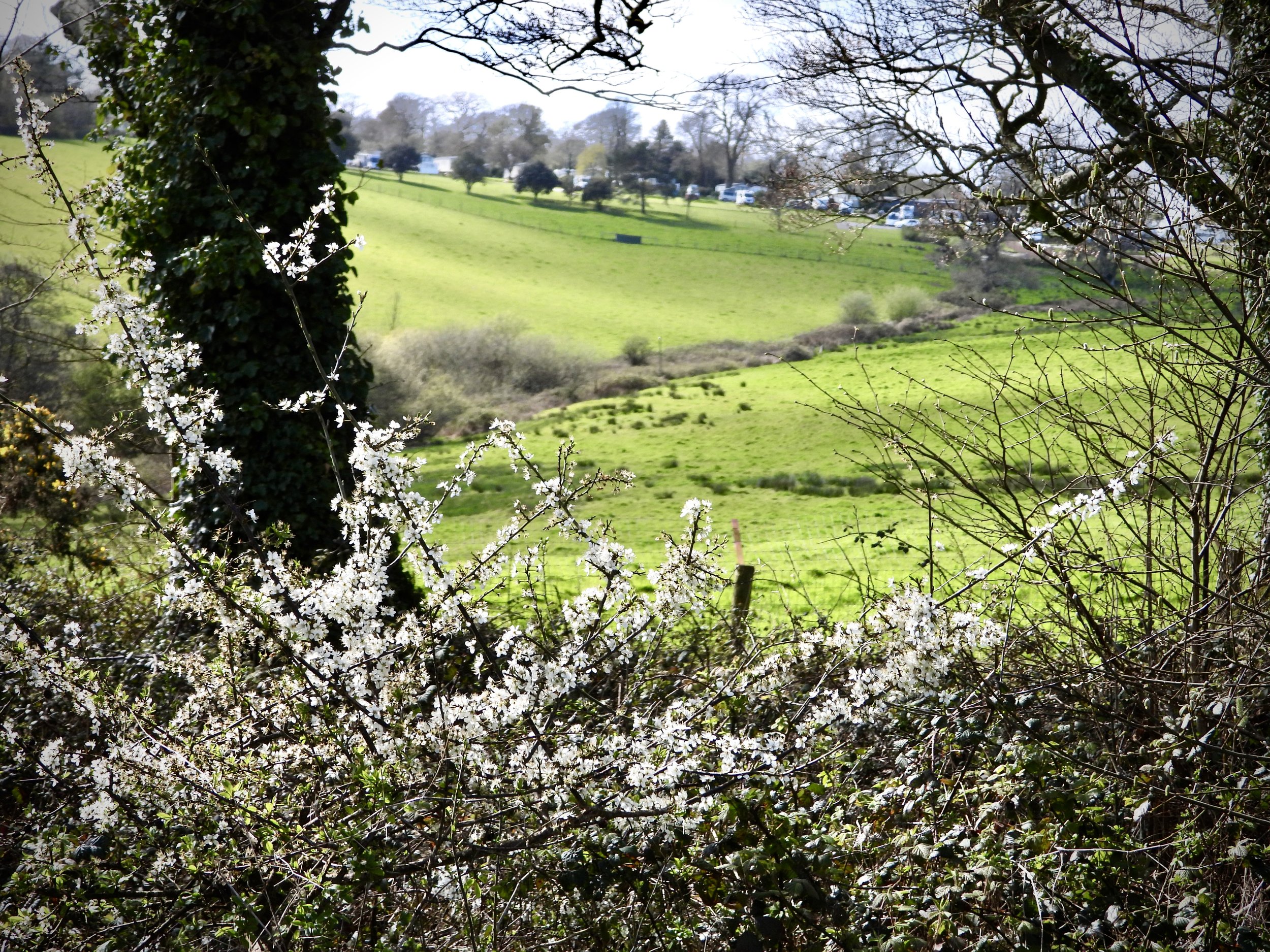 THS Churchtown Farm, Hayle