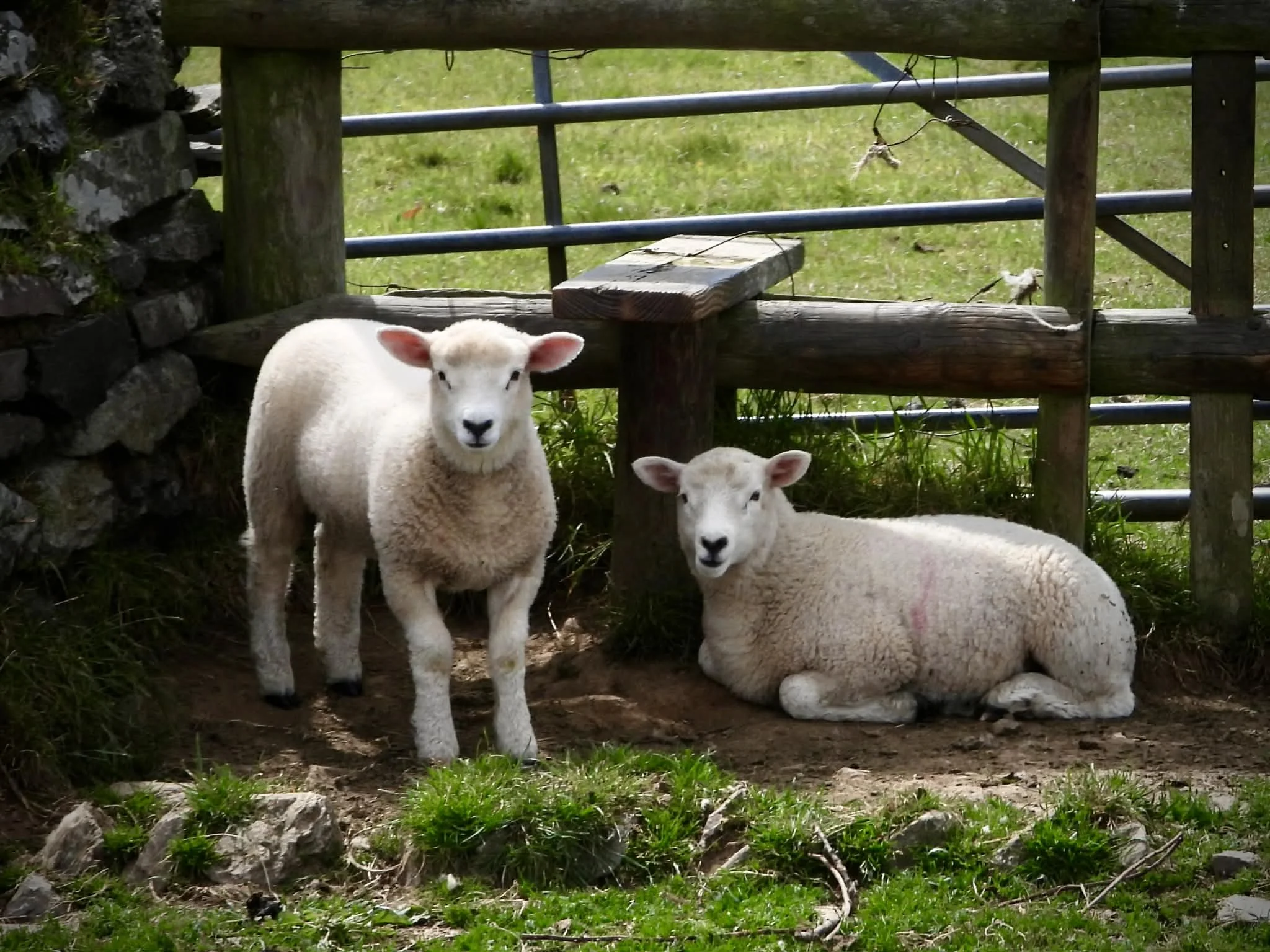 Globe Vale Holiday Park, Redruth