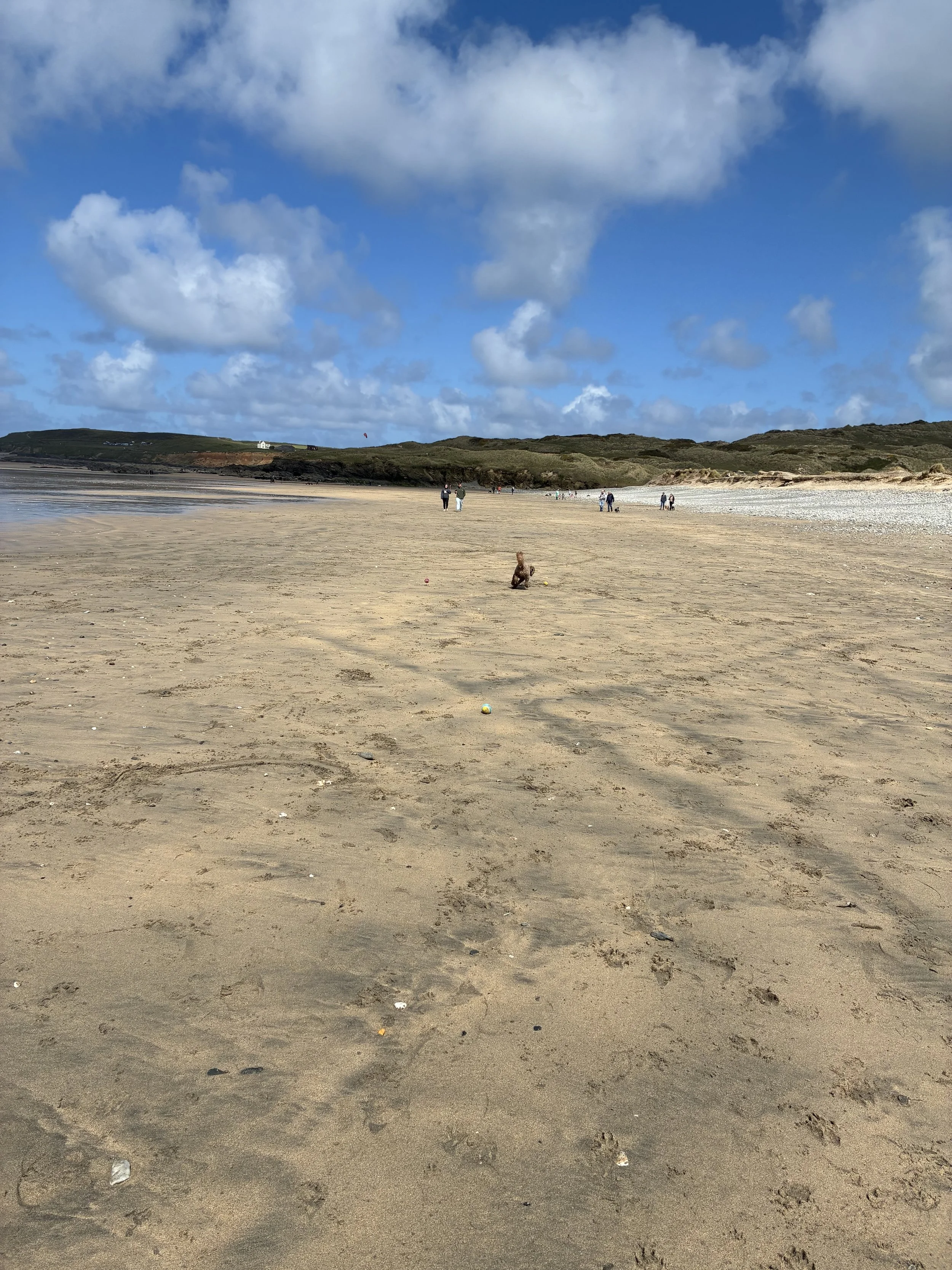 IMG_4291.jpeg