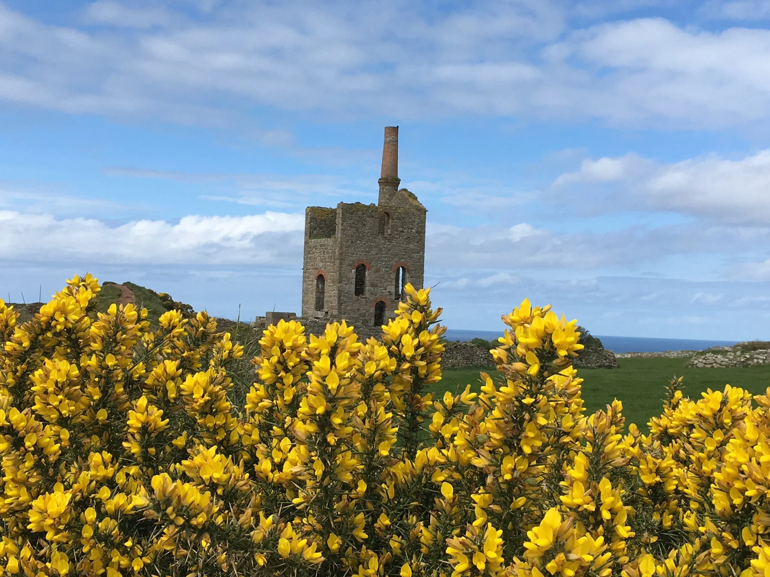 Ruins of an old stone building with a tall chimney, surrounded by yellow flowering bushes under a partly cloudy sky, overlooking the ocean in the background.