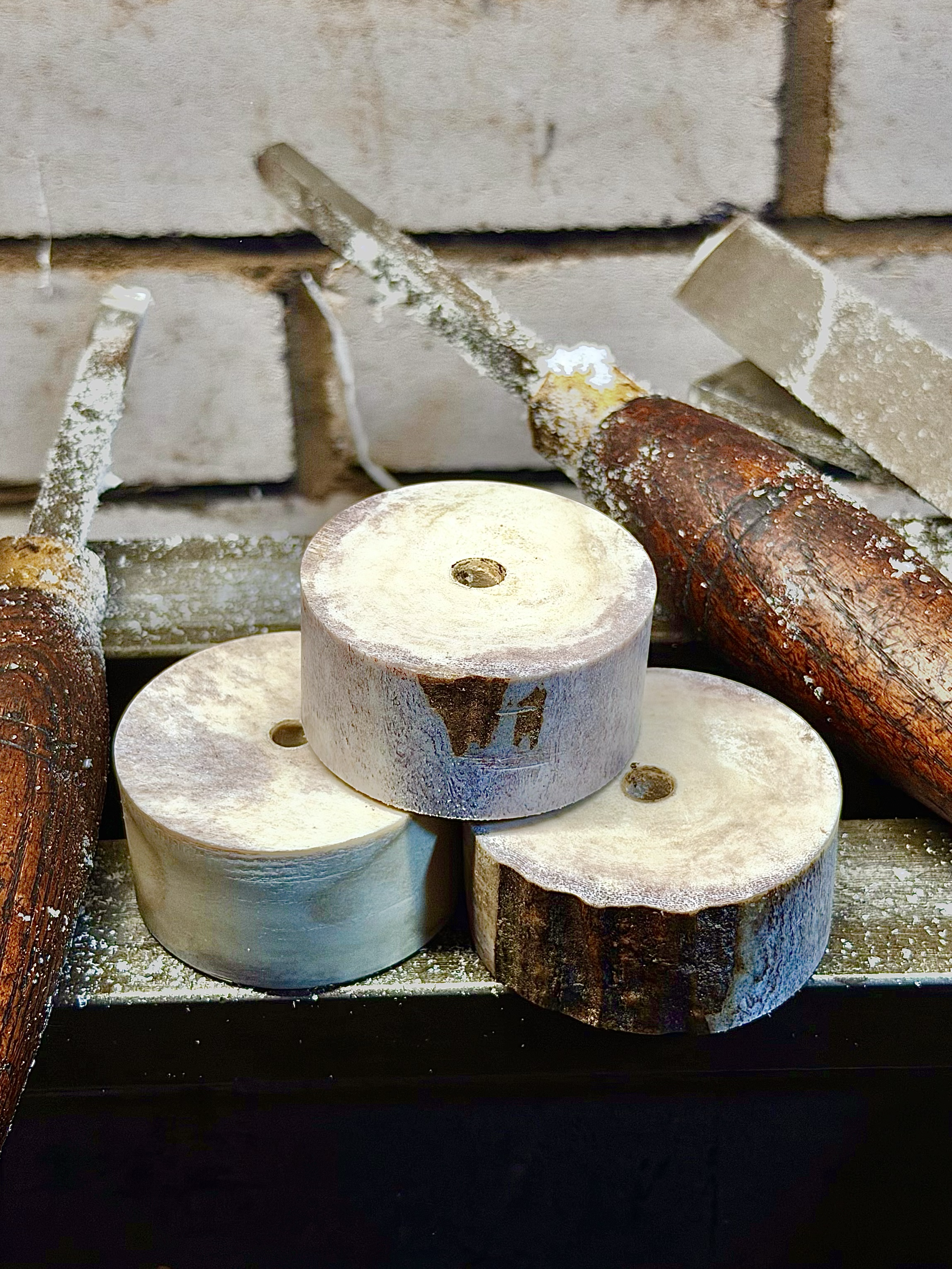 Moose Antler ready for shaping to turn into new mounts