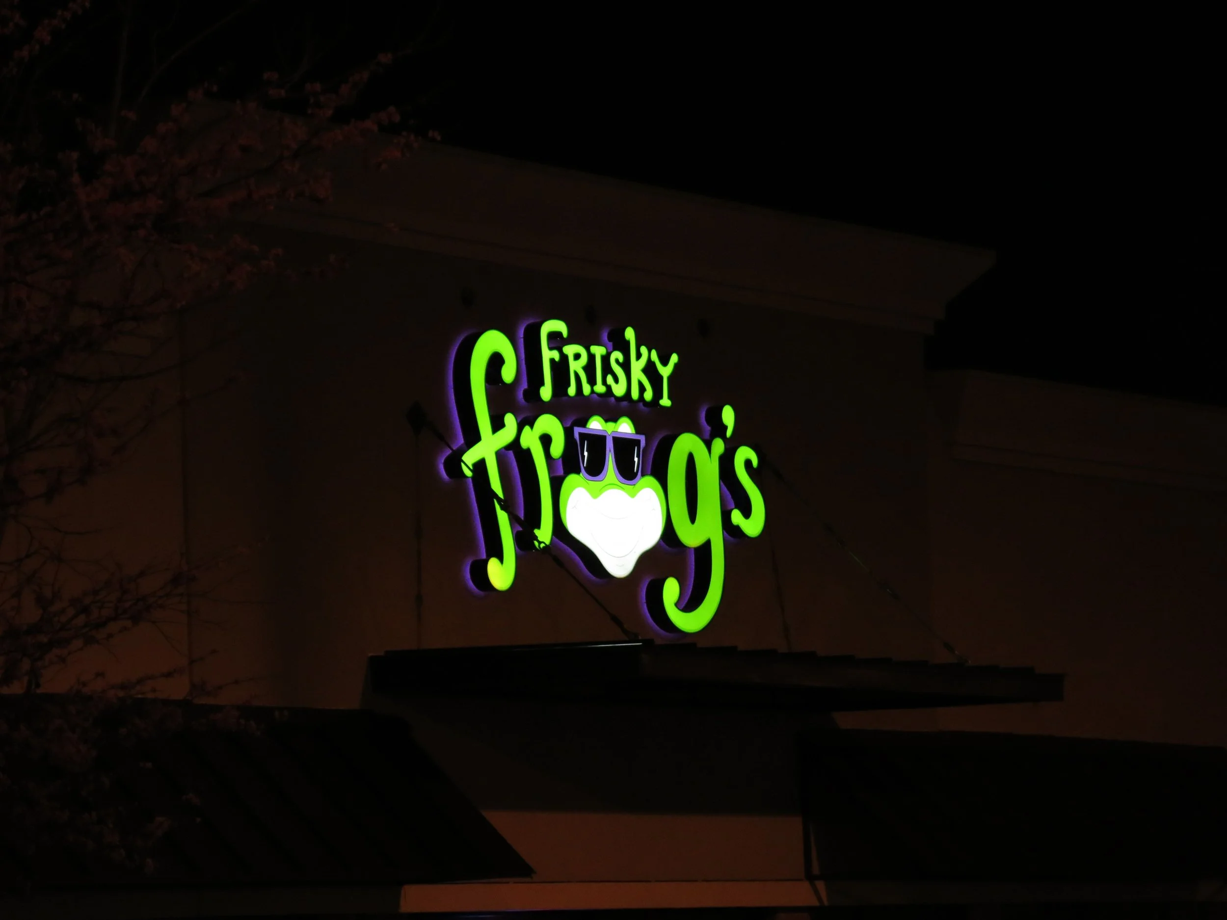Sign for Frisky Frog's bar, featuring neon green and purple text with a frog graphic, at night.