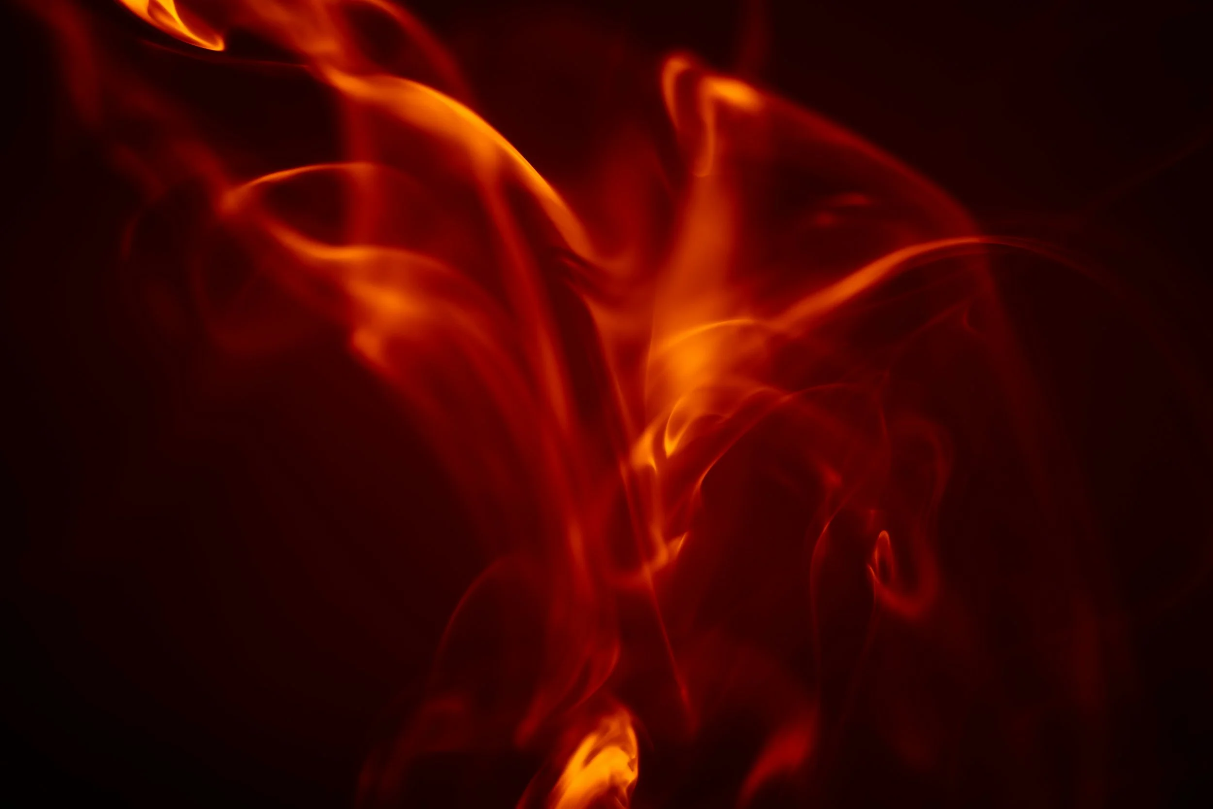 Phoenix Forged By Stars