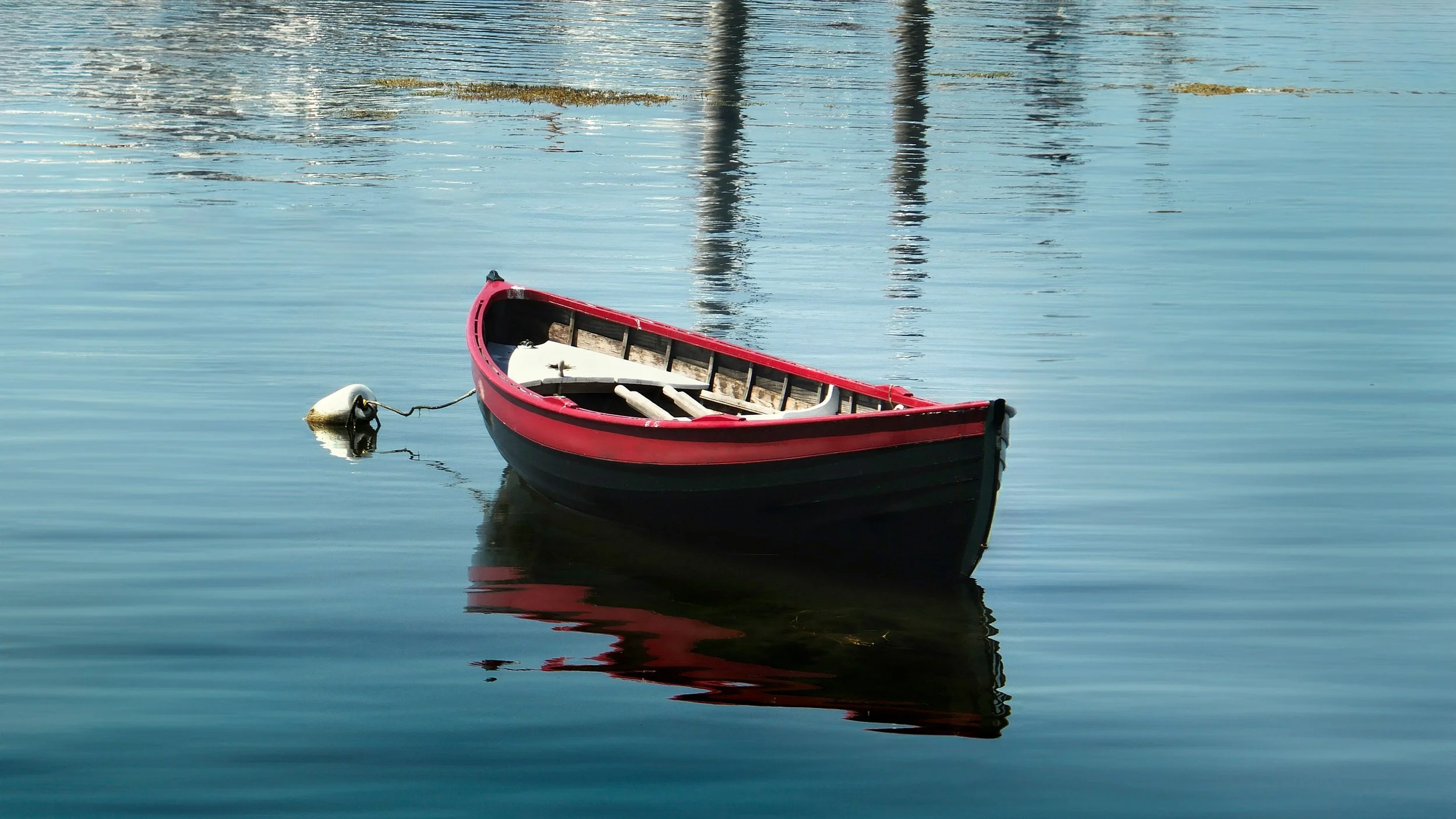 The Fishing Trip