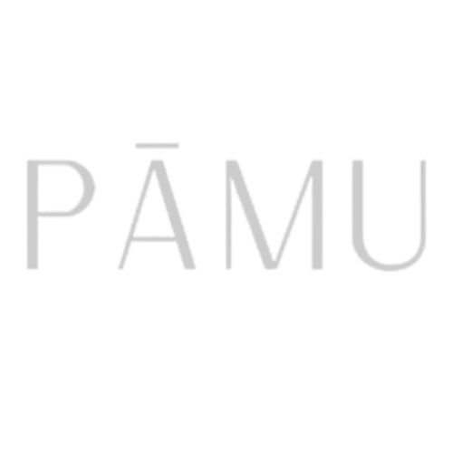 PAMU.png