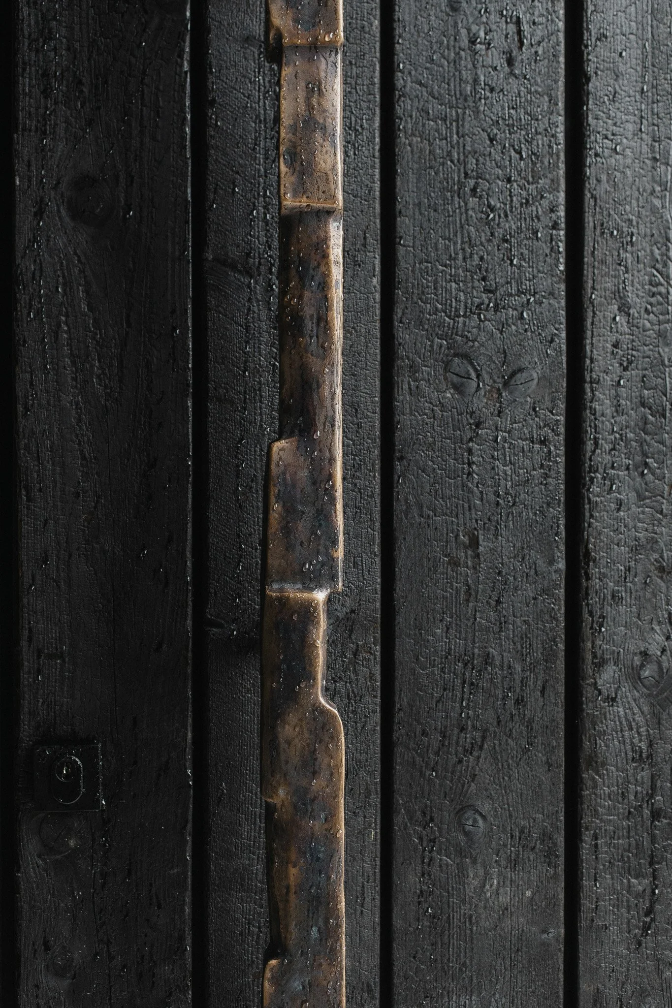 Close-up of a black wooden door with a rbronze in the center.