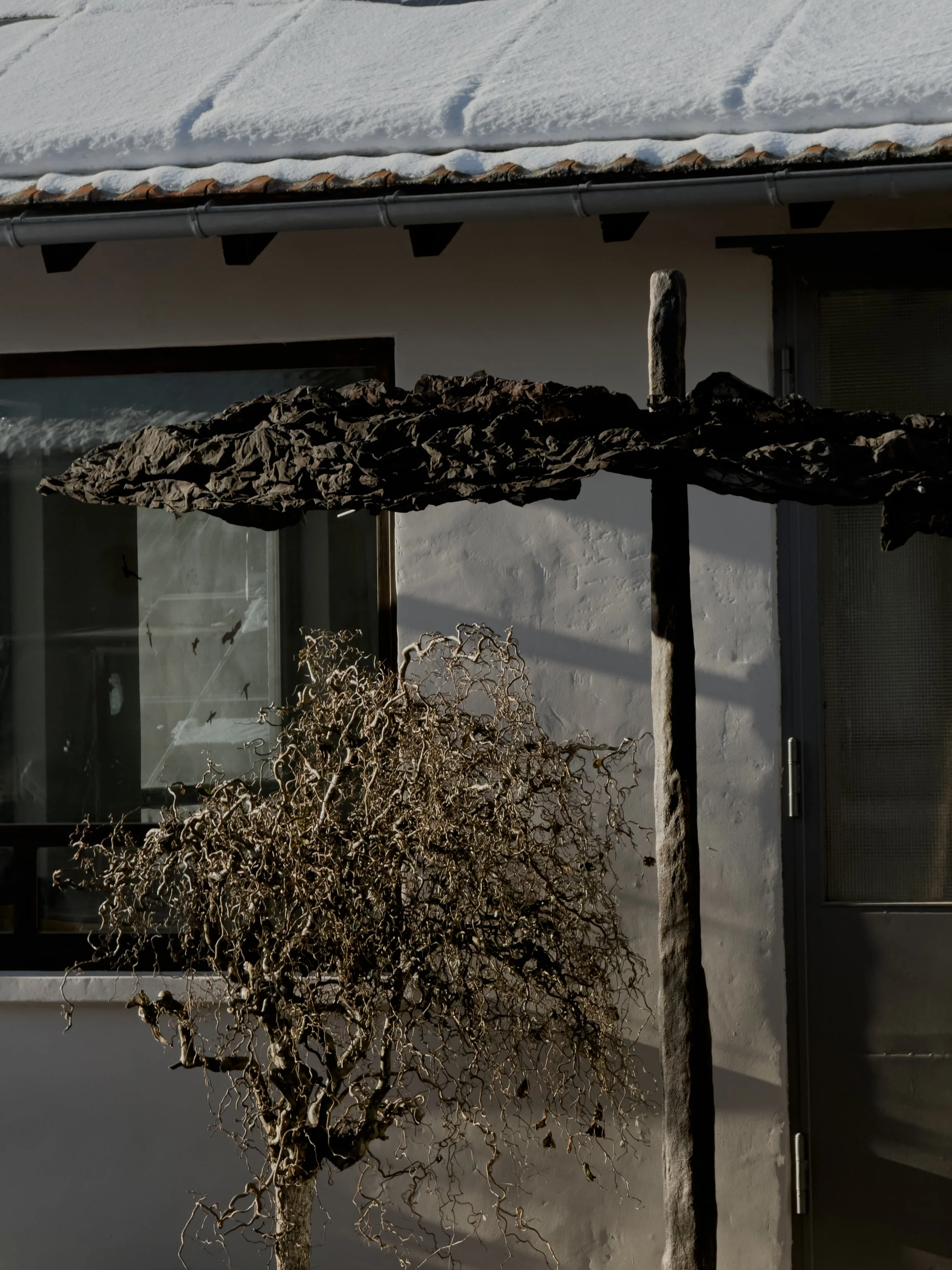 Dried, leafless tree in front of a white wall and window, with a shadow cast on the wall. A dark, crumpled object is suspended from a wooden pole.