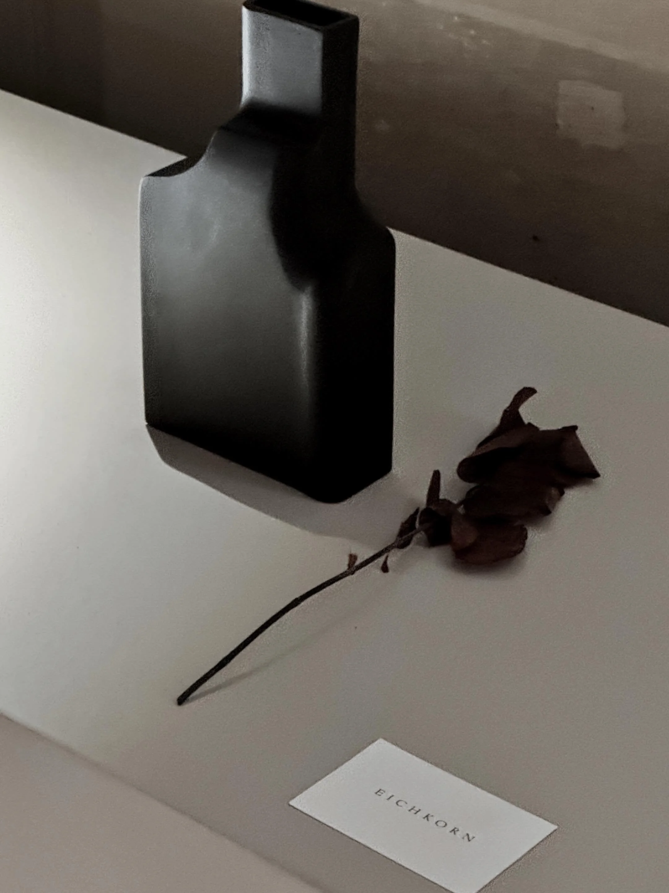 AMO | vase

grey patinated bronze

12 x 5 x 21 cm
4.7 x 2 x 8.2 inch

Available in different patinas

#eichkorn