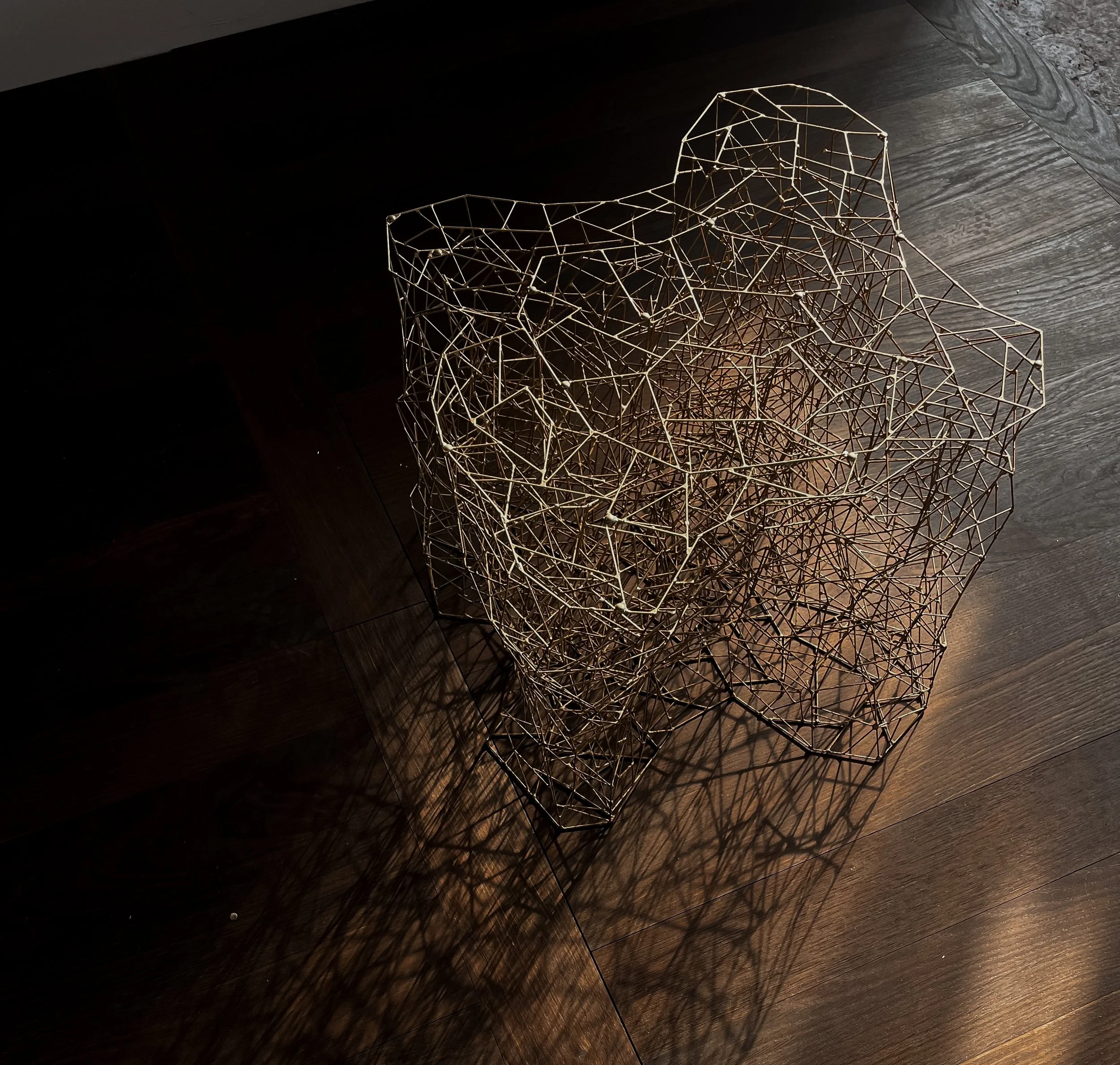 Decorative metallic wire sculpture on a dark wooden floor, casting intricate shadows.