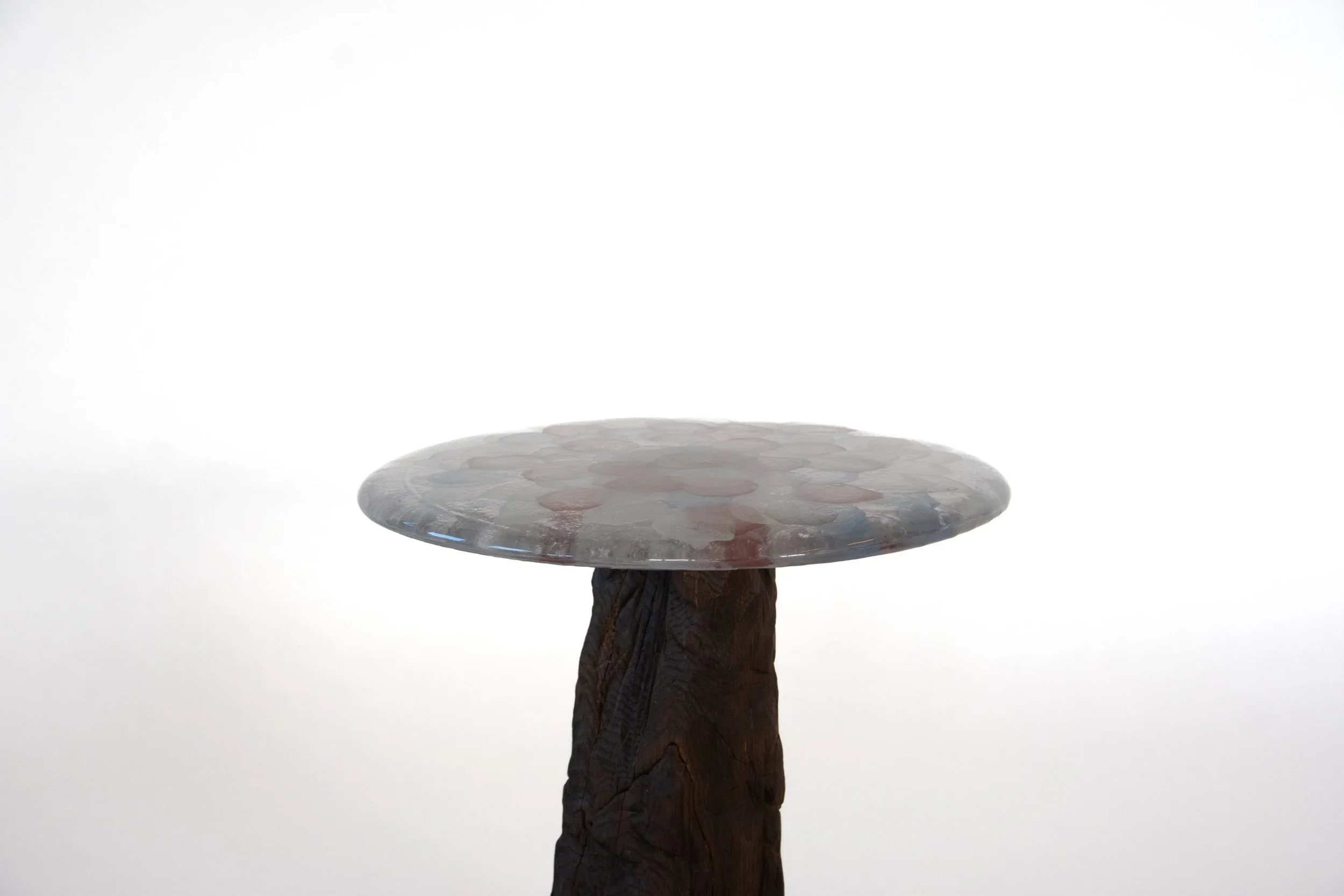 Sculpture of a mushroom with a dark wooden stem and a flat, circular top made of translucent material, set against a plain white background.