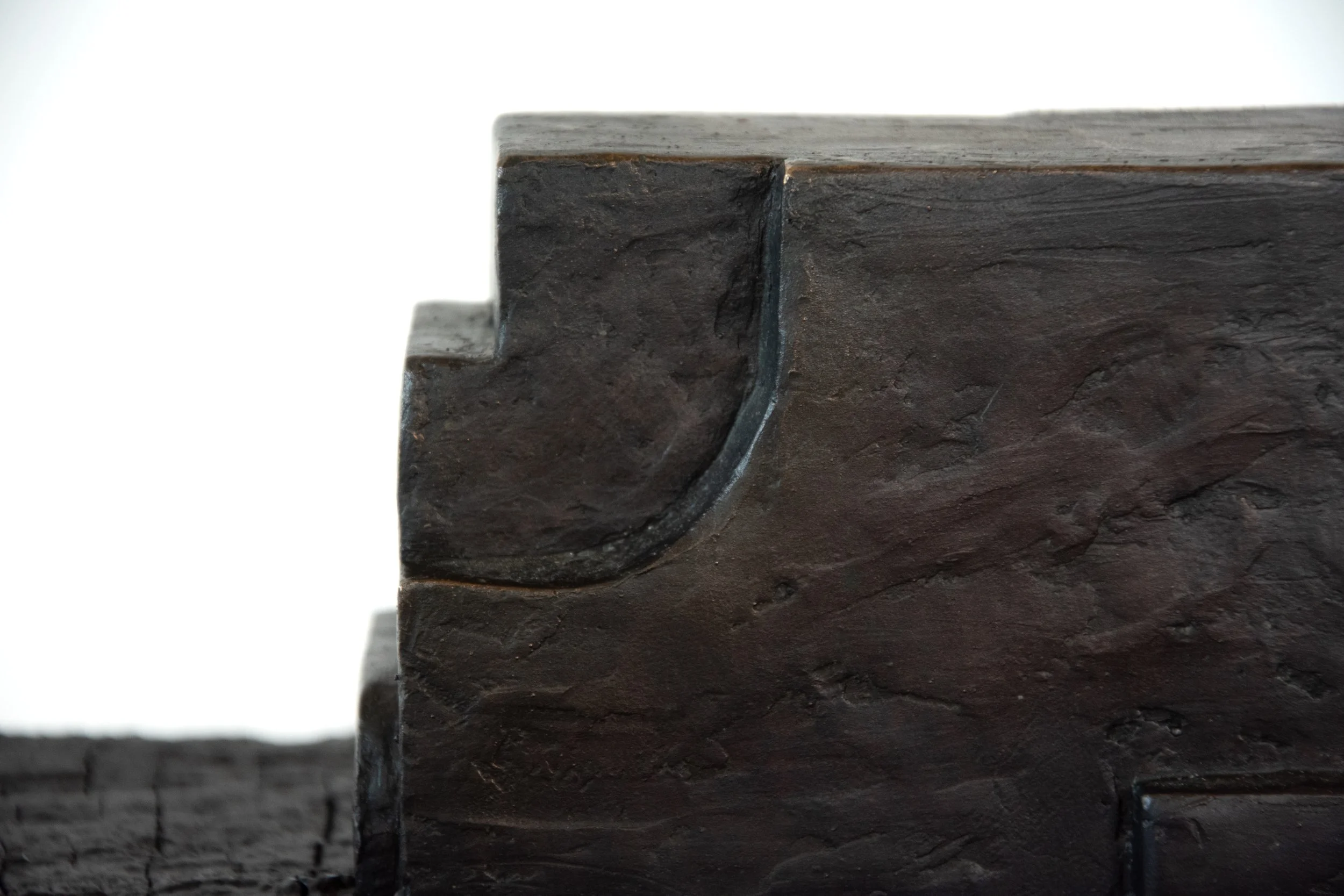 Close-up of a dark, textured piece of wood, showing the cut edge with smooth and rough surfaces.