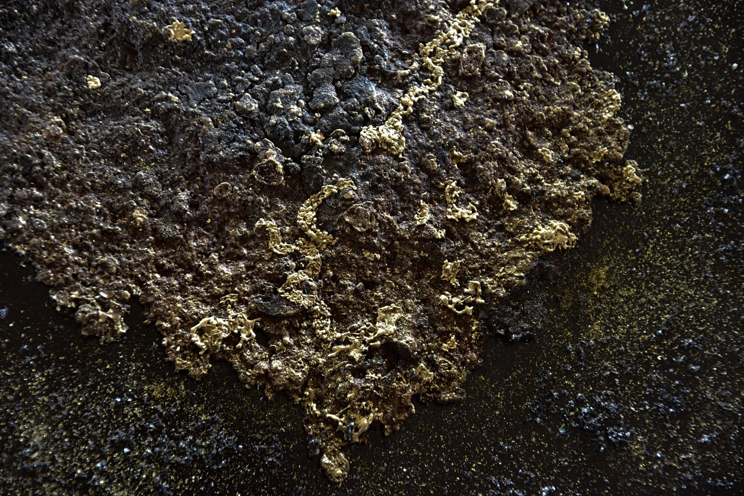 Close-up of a dark, textured soil surface with some patches of light-colored organic material or fungi.