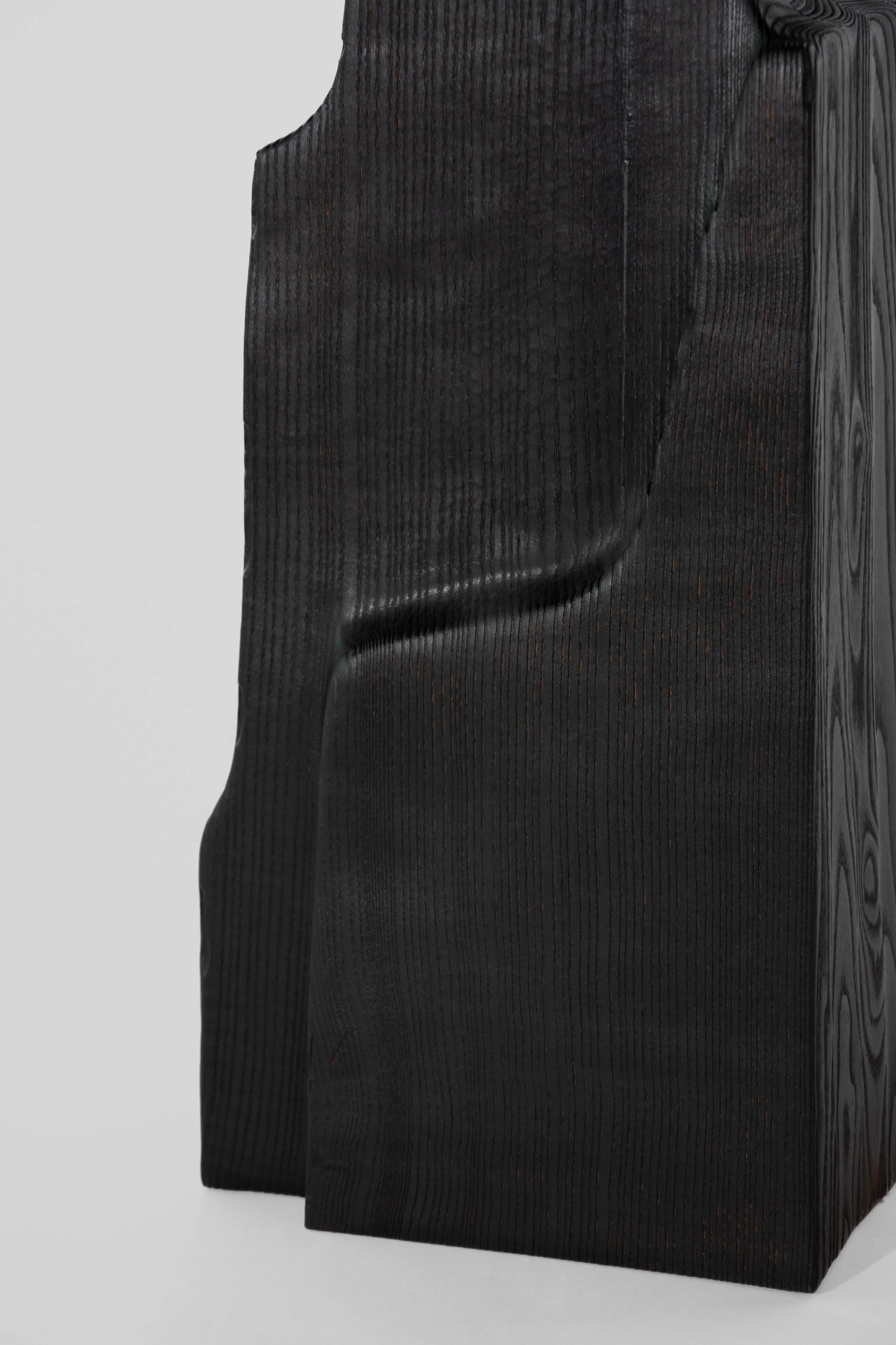 Close-up image of a tall, textured black sculpture or object with a smooth, curved shape, against a plain gray background.