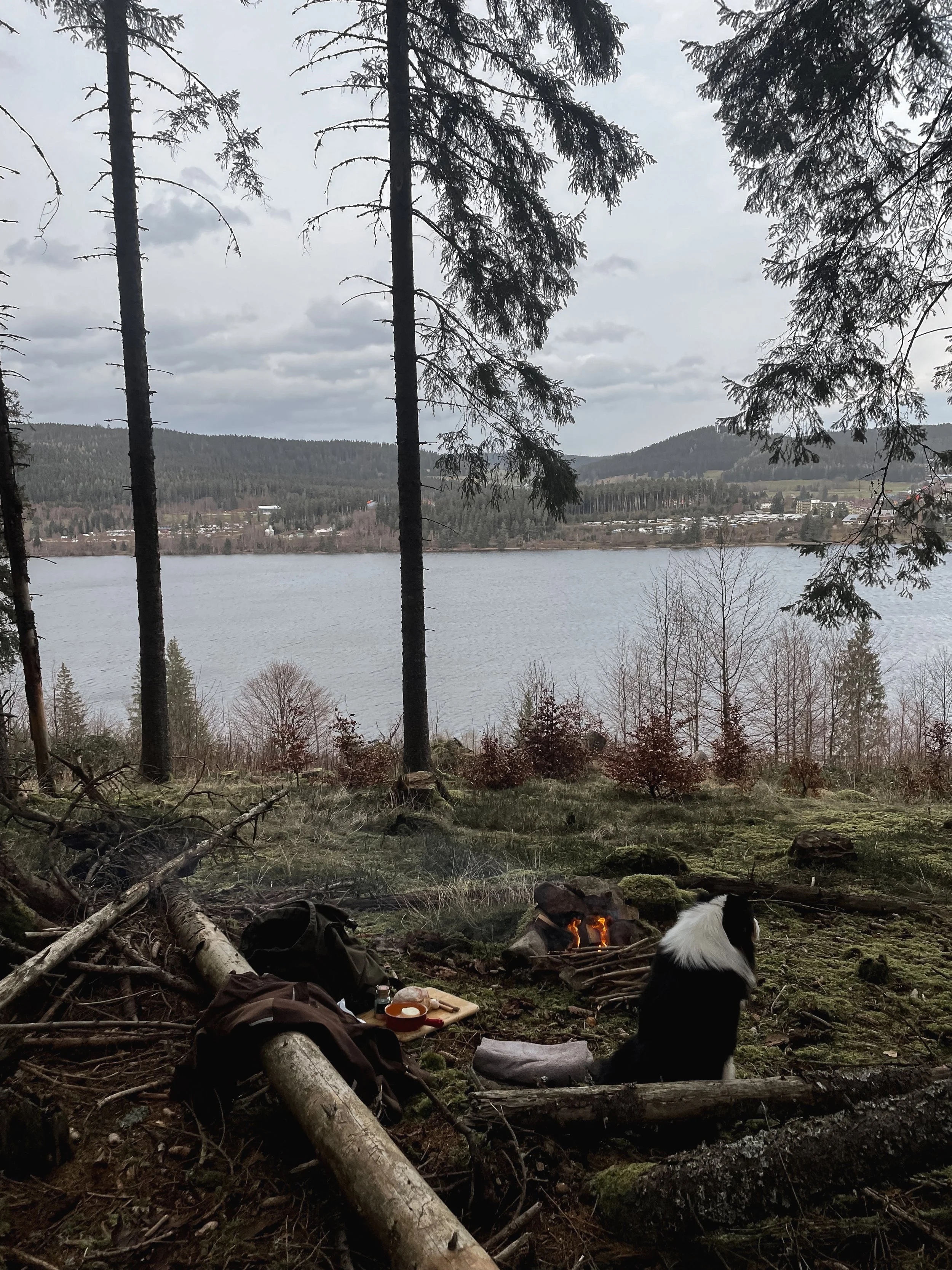 A lakeside campsite with a campfire, a black and white dog sitting nearby, trees, and a view of the lake and distant hills.