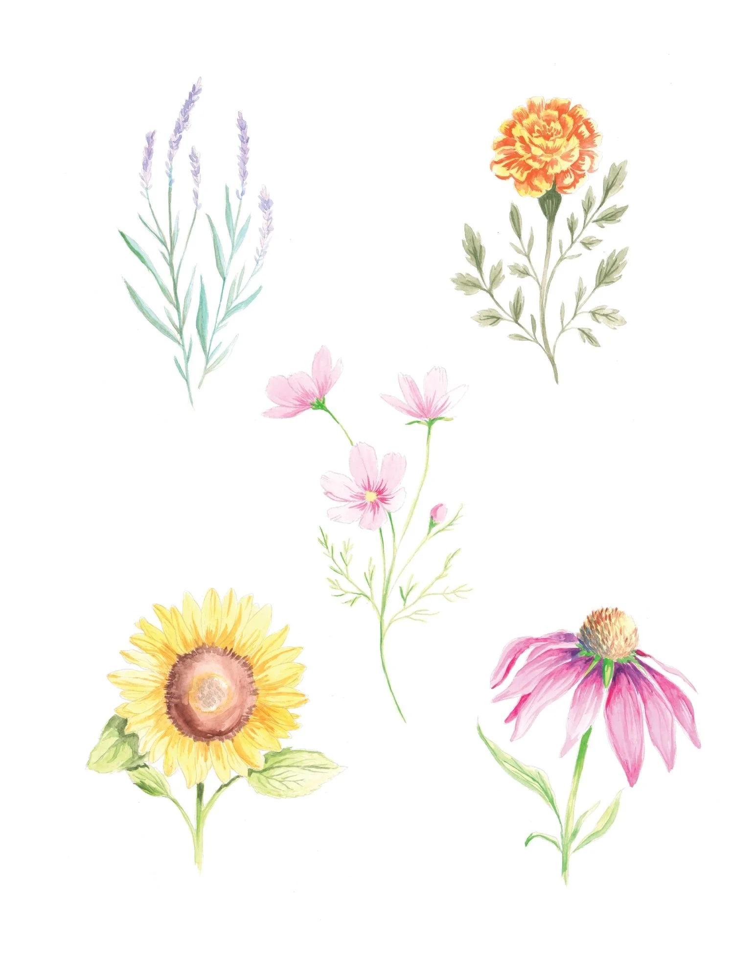 Book 1 Example Page.jpg