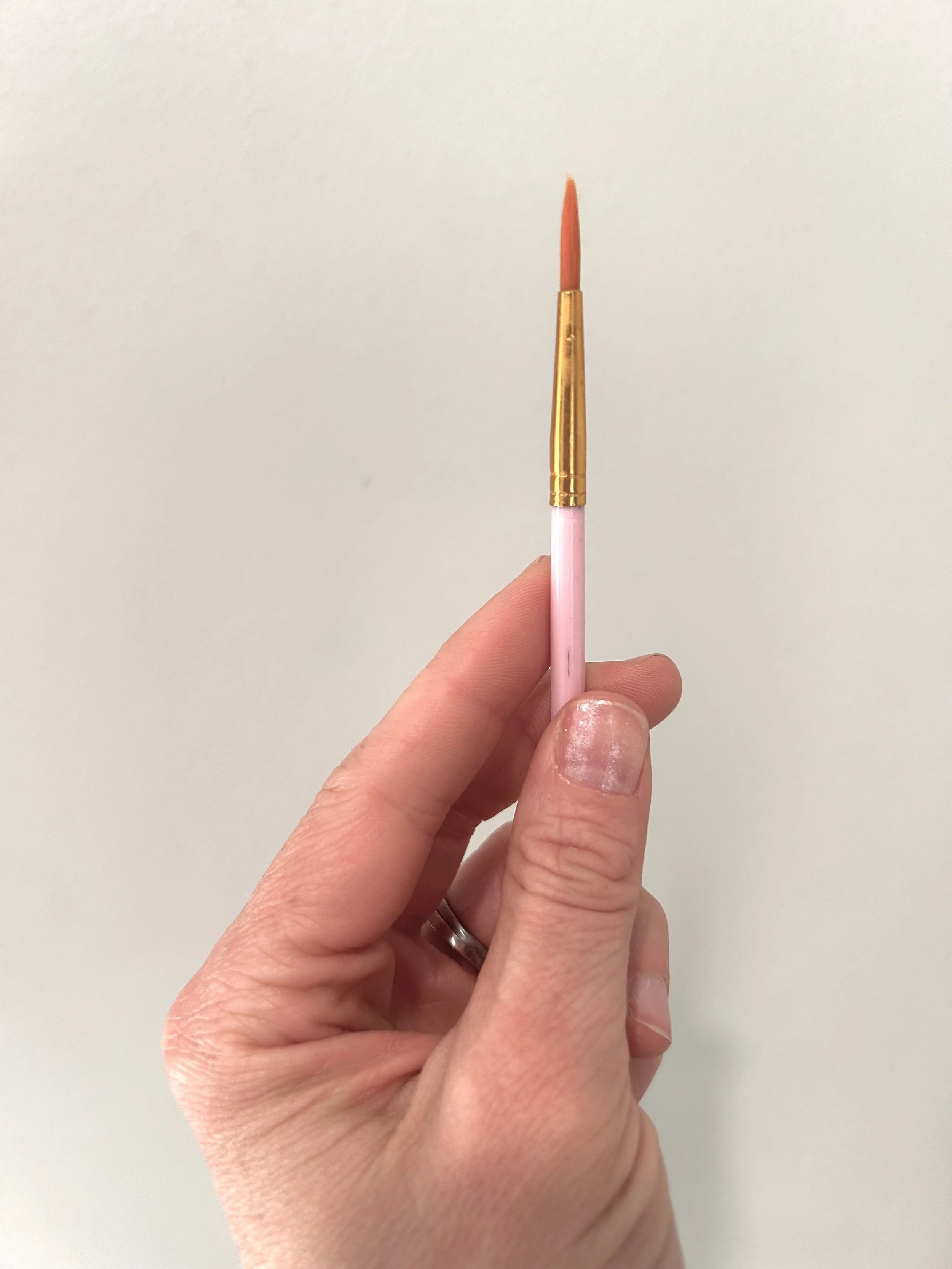 2 Pack Brushes (SHIPS APRIL 8)