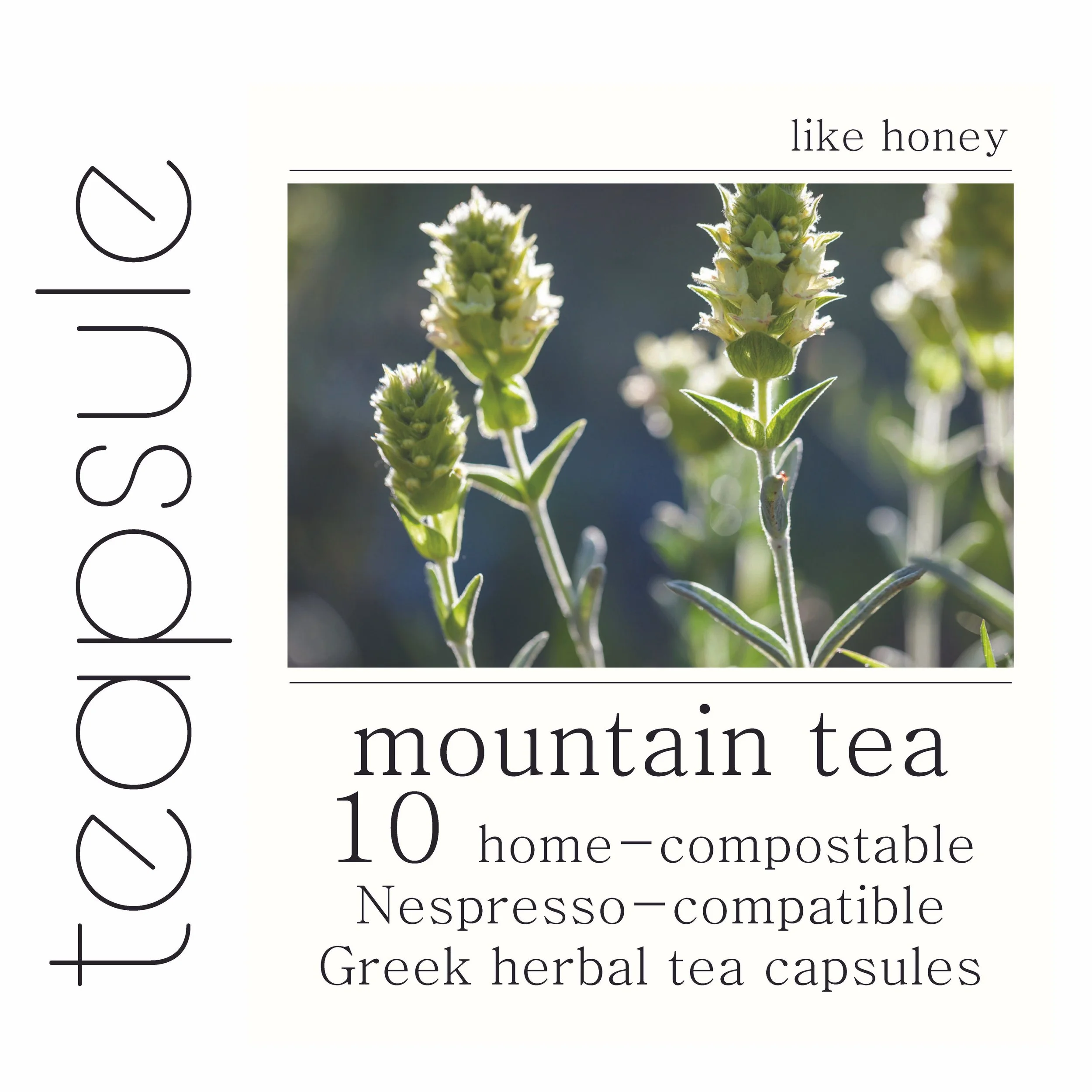 Teapsule Sticker.jpg