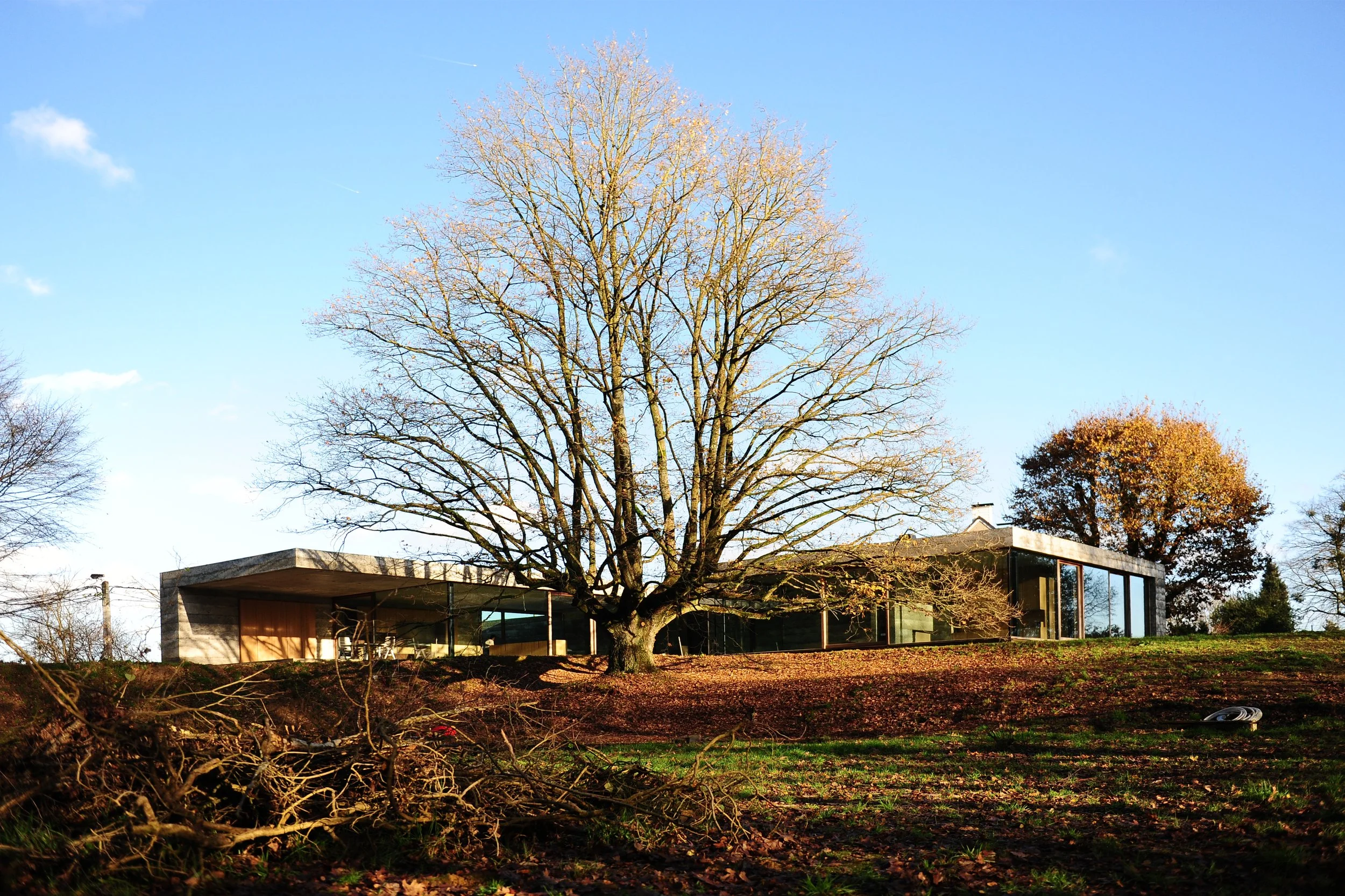 béton, veranda, jardin, arbre, vitres