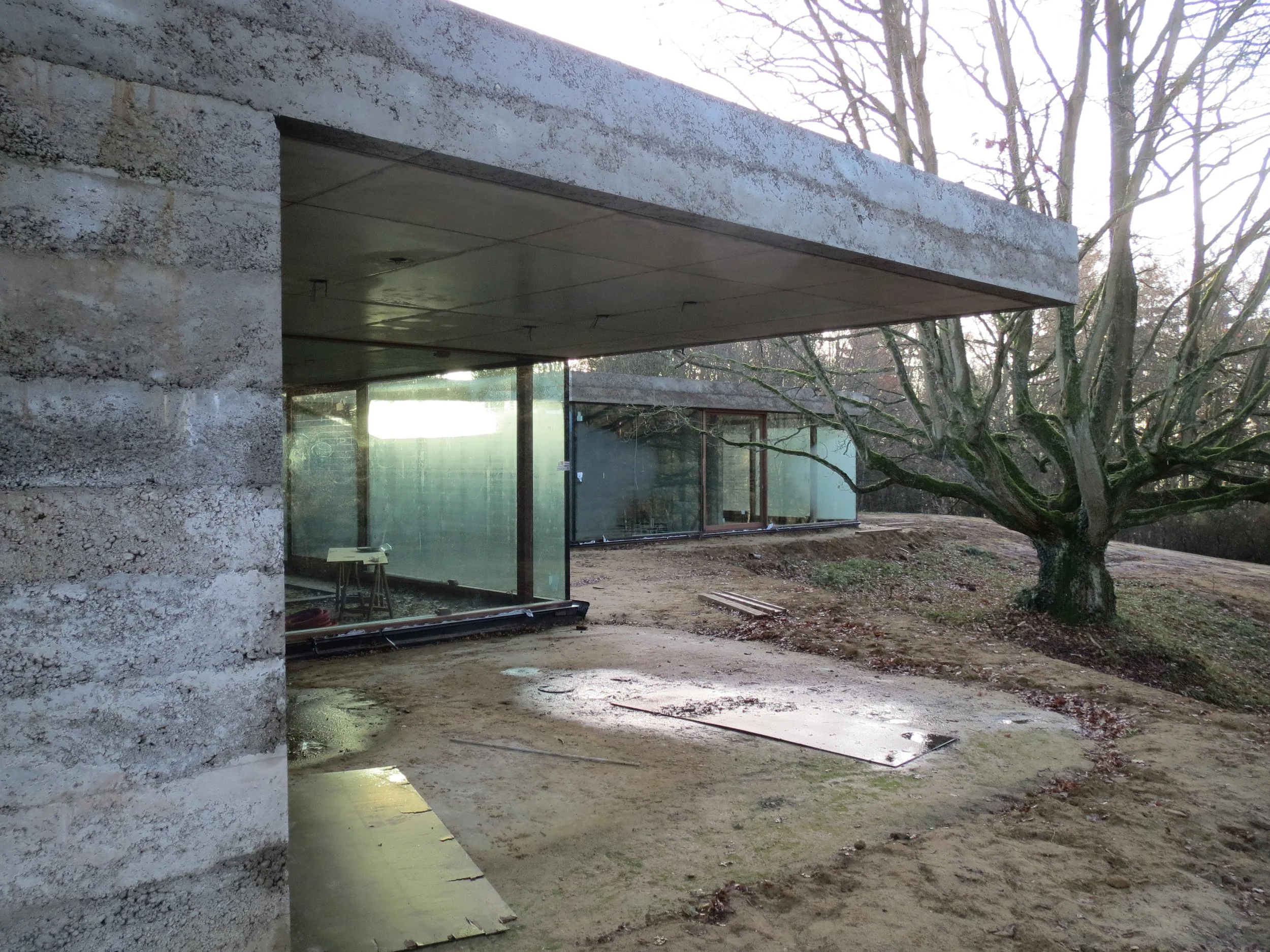 Terrasse, béton, veranda, jardin, arbre 