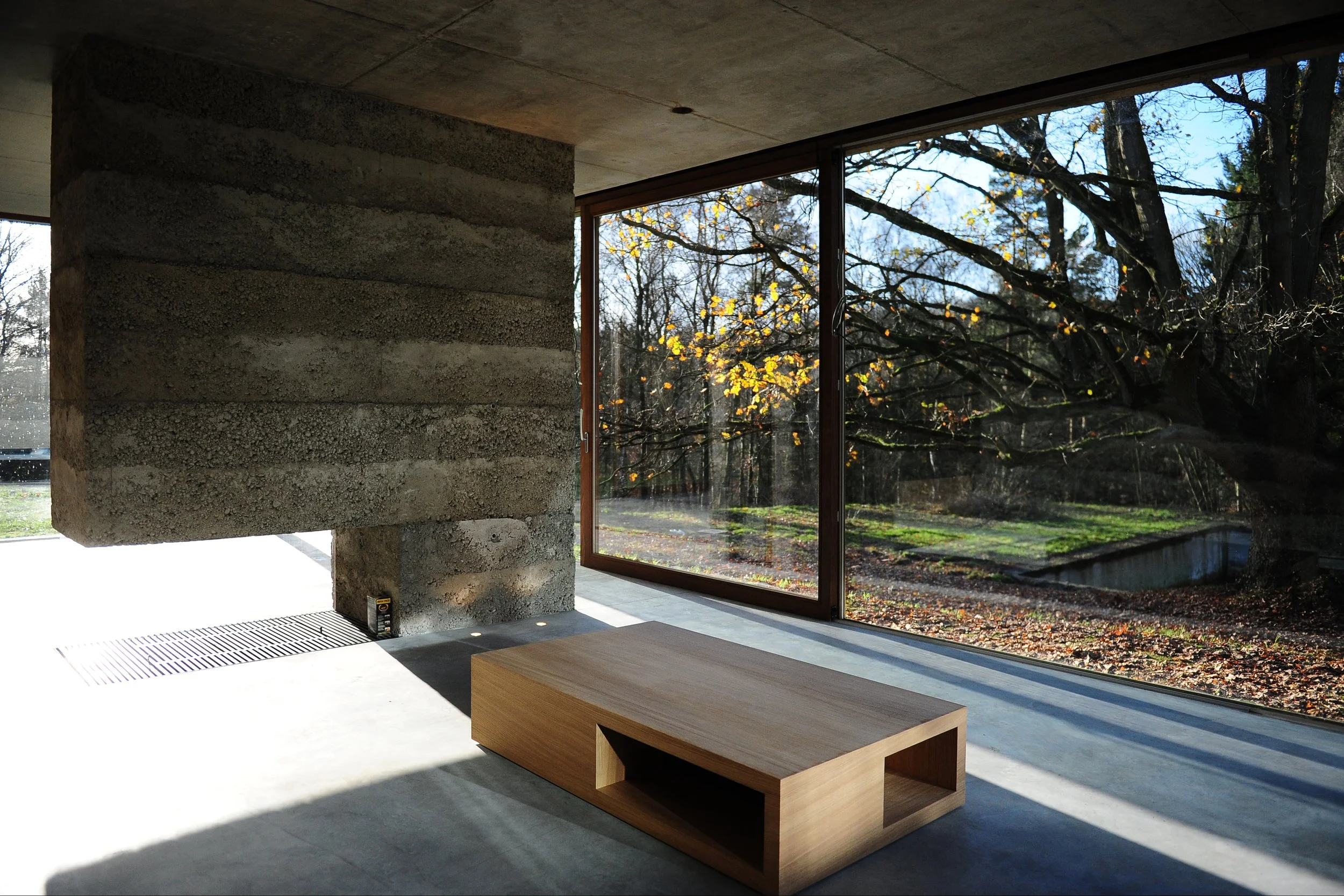 Salon, colonne, meubles, moderne, vitrage, jardin 