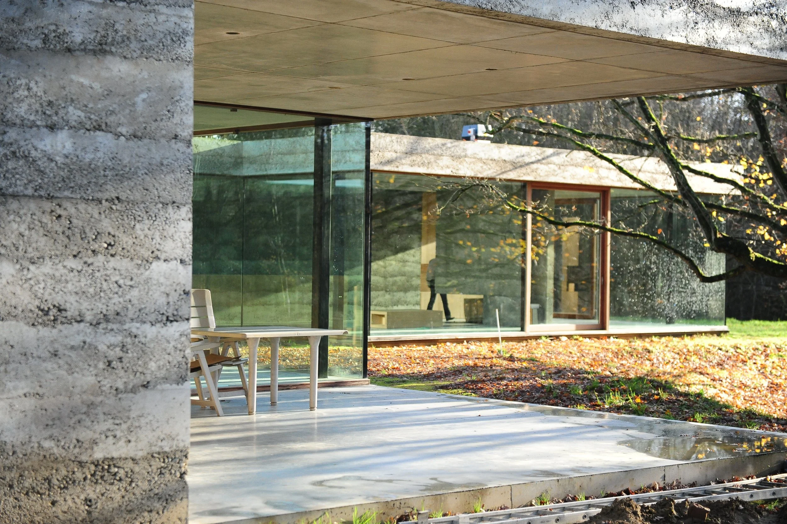 Terrasse, béton, veranda, jardin, arbre 