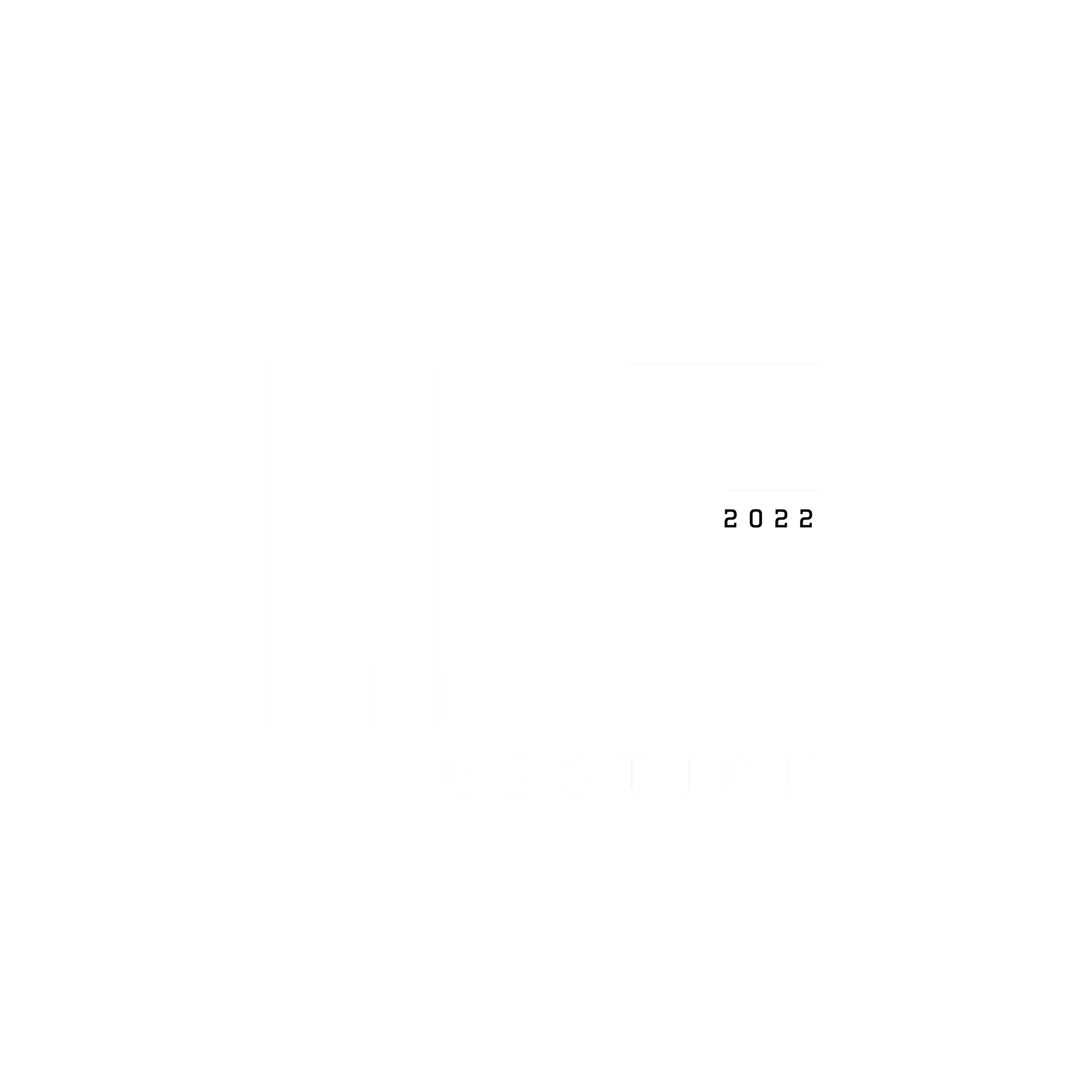 Logo en noir et blanc avec le texte '2022 GESTION' en dessous, design géométrique abstrait