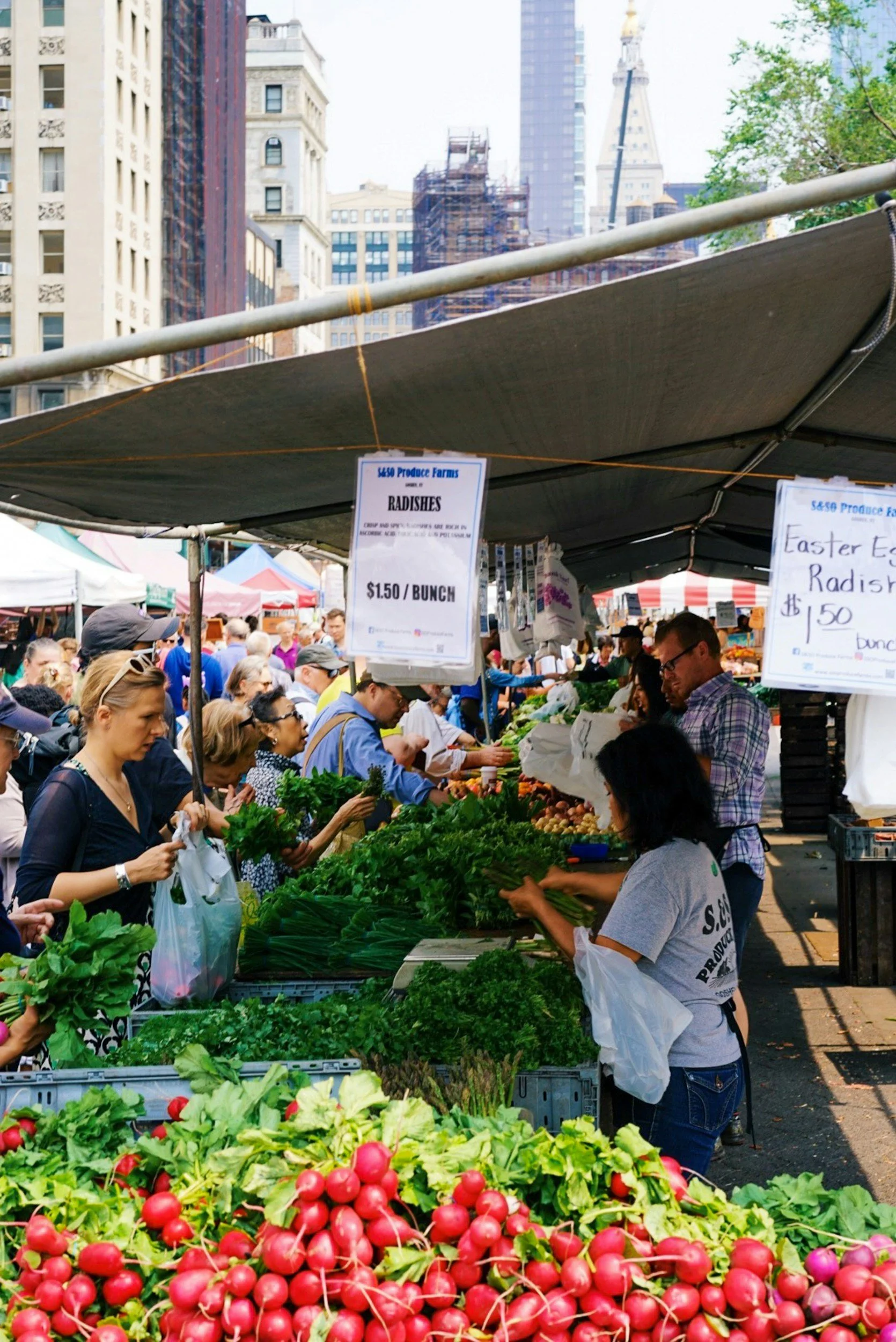 Shoppers and vendors at a farmers' market filling bags with fresh greens.